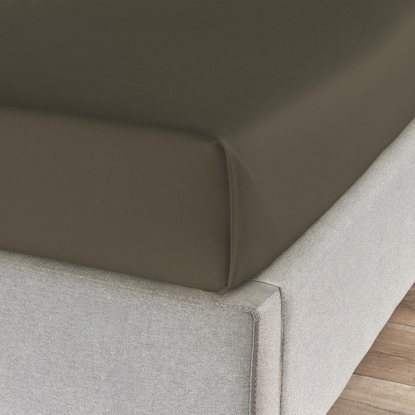 TRAUMSCHLAF Betttuch Feinbiber Haustuch Bettlaken, Biber, Gummizug: ohne Sp günstig online kaufen