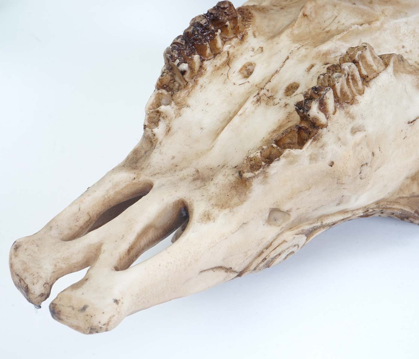MCW Wanddekoobjekt Stier Skull Tribal-45, Witterungsbeständig, Frostbeständig bis -10° C, Hohe Bruchfestigkeit