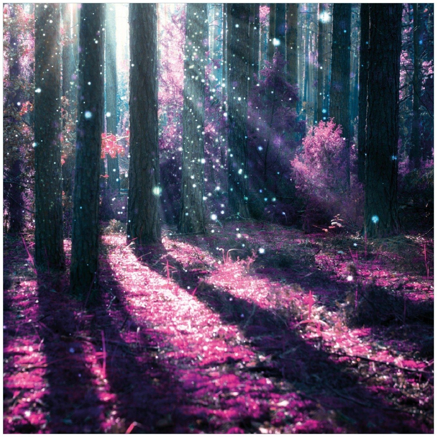 Wallario Memoboard Fantasie im Wald - Pinke Blumen in der Sonne