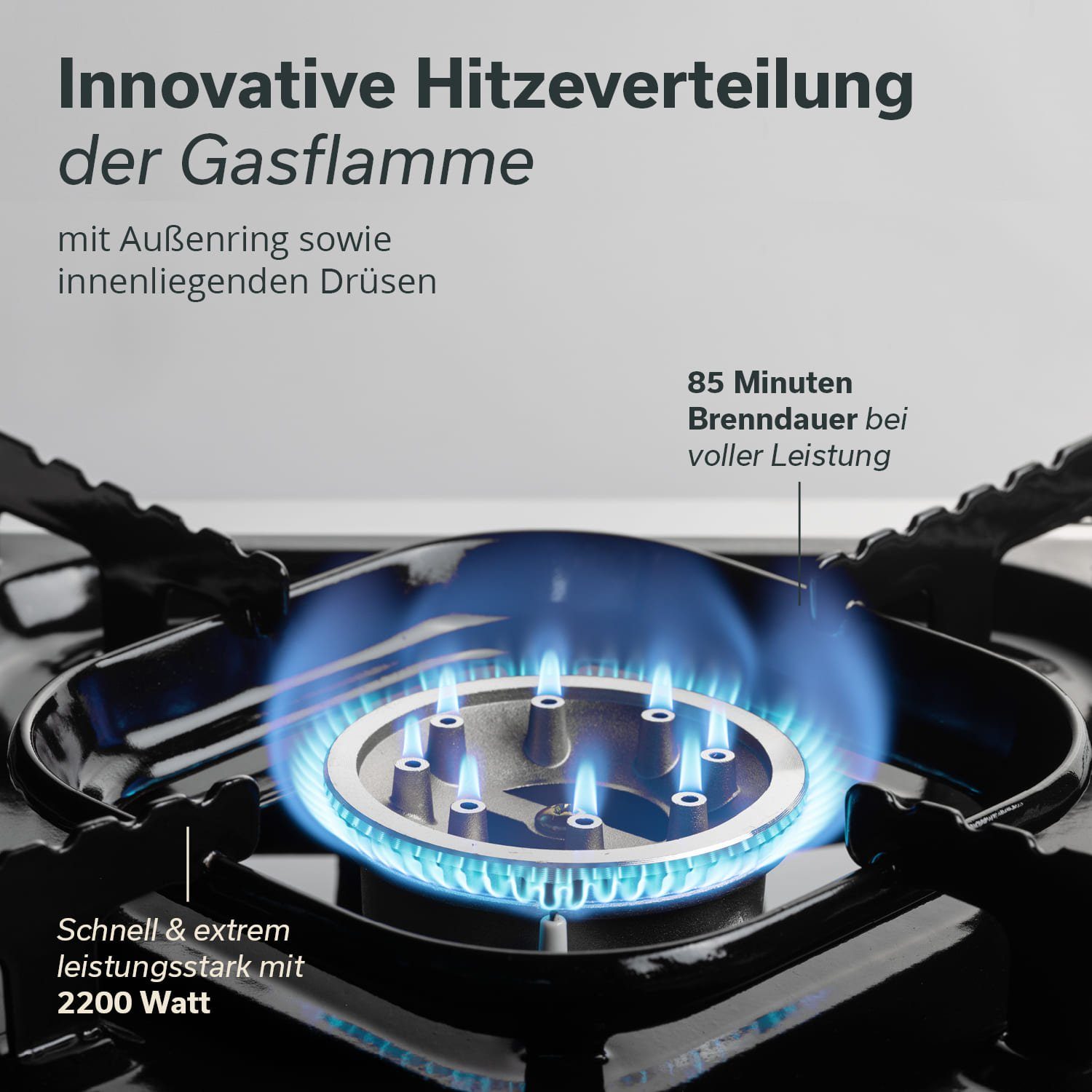 Skandika Gaskocher Brann, Campingkocher, Kochfeld, Gasbrenner, Edelstahl, Piezo-Anzünder, (1-flammig, für Gaskartuschen MSF-1A 227 g, für Gaskartuschen MSF-1A 227 g), elektrische Zündung, stufenlos regulierbar, Piezo-Anzünder Tragekoffer