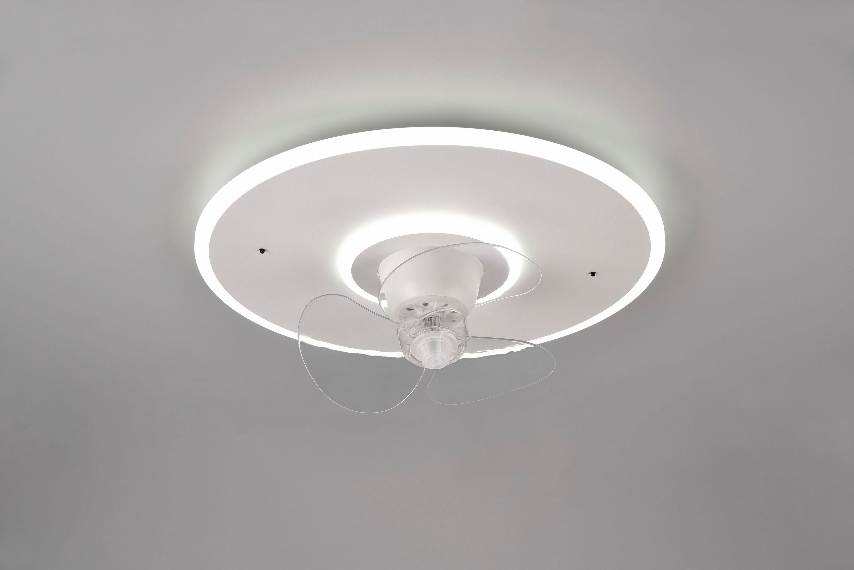Reality Leuchten LED Deckenleuchte Nybro Deckenventilator, CCT - über Fernbedienung, Memoryfunktion, Ventilatorfunktion, LED fest integriert, warmweiß - kaltweiß, Deckenlampe, Ventilator 3 Stufen, Fernbedienung,Lichtfarbe einstellbar