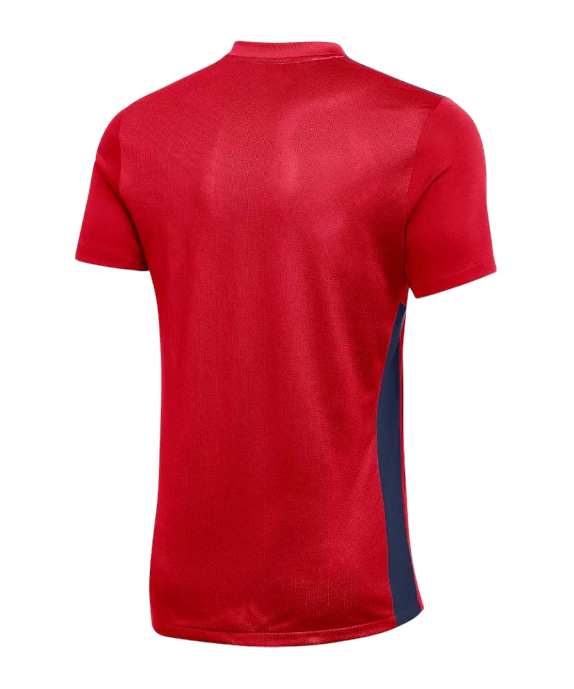 Nike Fußballtrikot Nike Performance Park Derby IV Trikot Trikots Teamsport günstig online kaufen