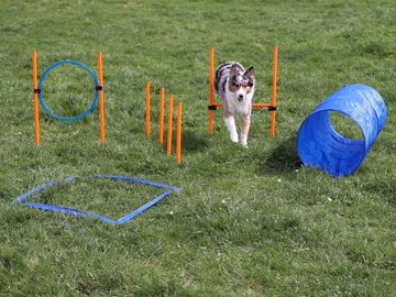 Lemodo Agility-Slalom Agility Set für kleine und mittlere Hunde, Komplett-Set, Kunststoff