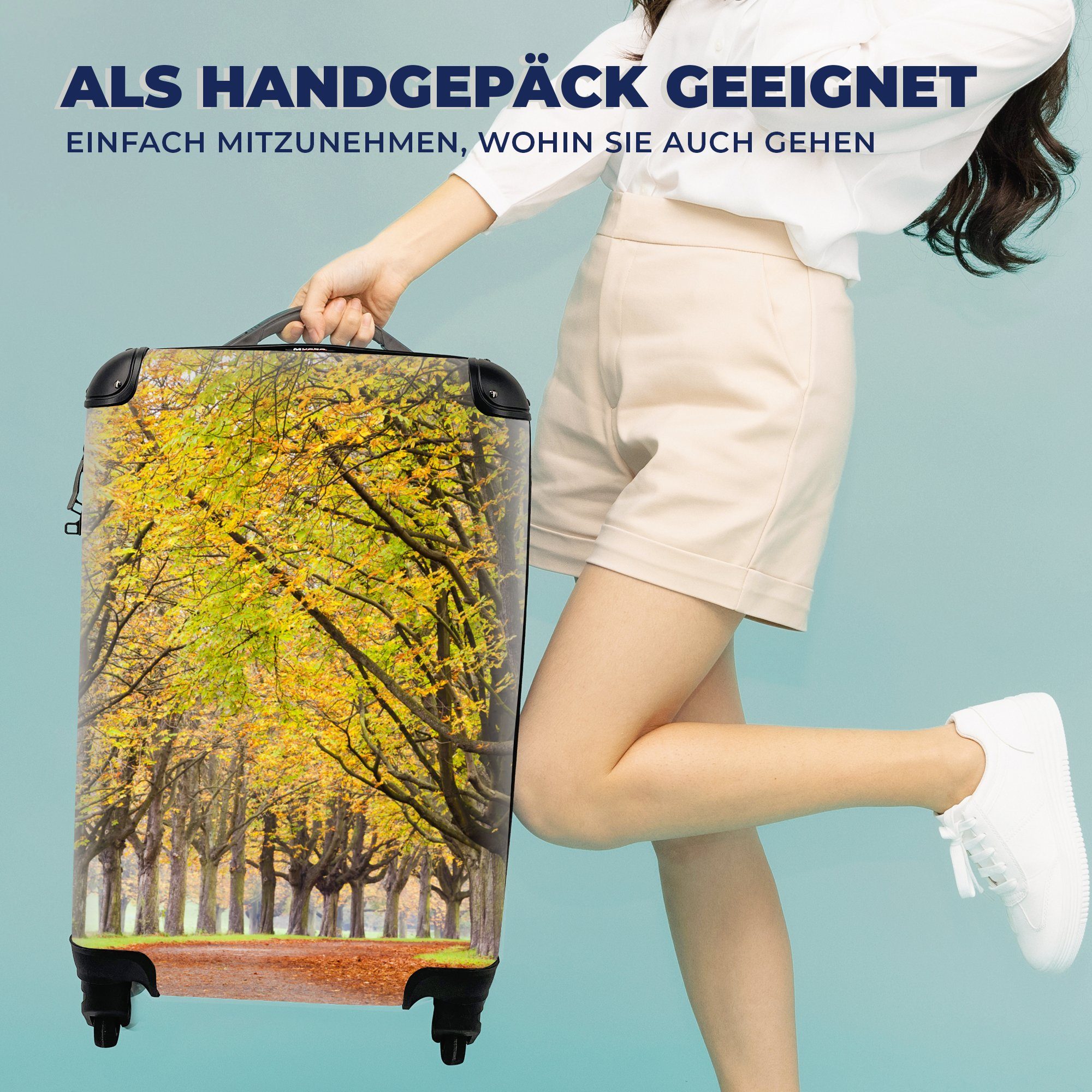 Reisetasche Rollen, rollen, Handgepäck Reisekoffer 4 für MuchoWow Trolley, Kastanienbäume mit im Herbst, Handgepäckkoffer Ferien,