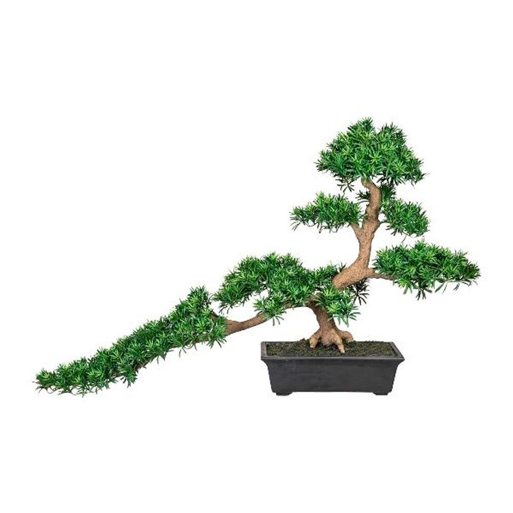 Kunstblume Bonsai Bäumchen in Schale 85x130 cm Podocarpus Han-kengai,  Gasper, Höhe 85.000 cm