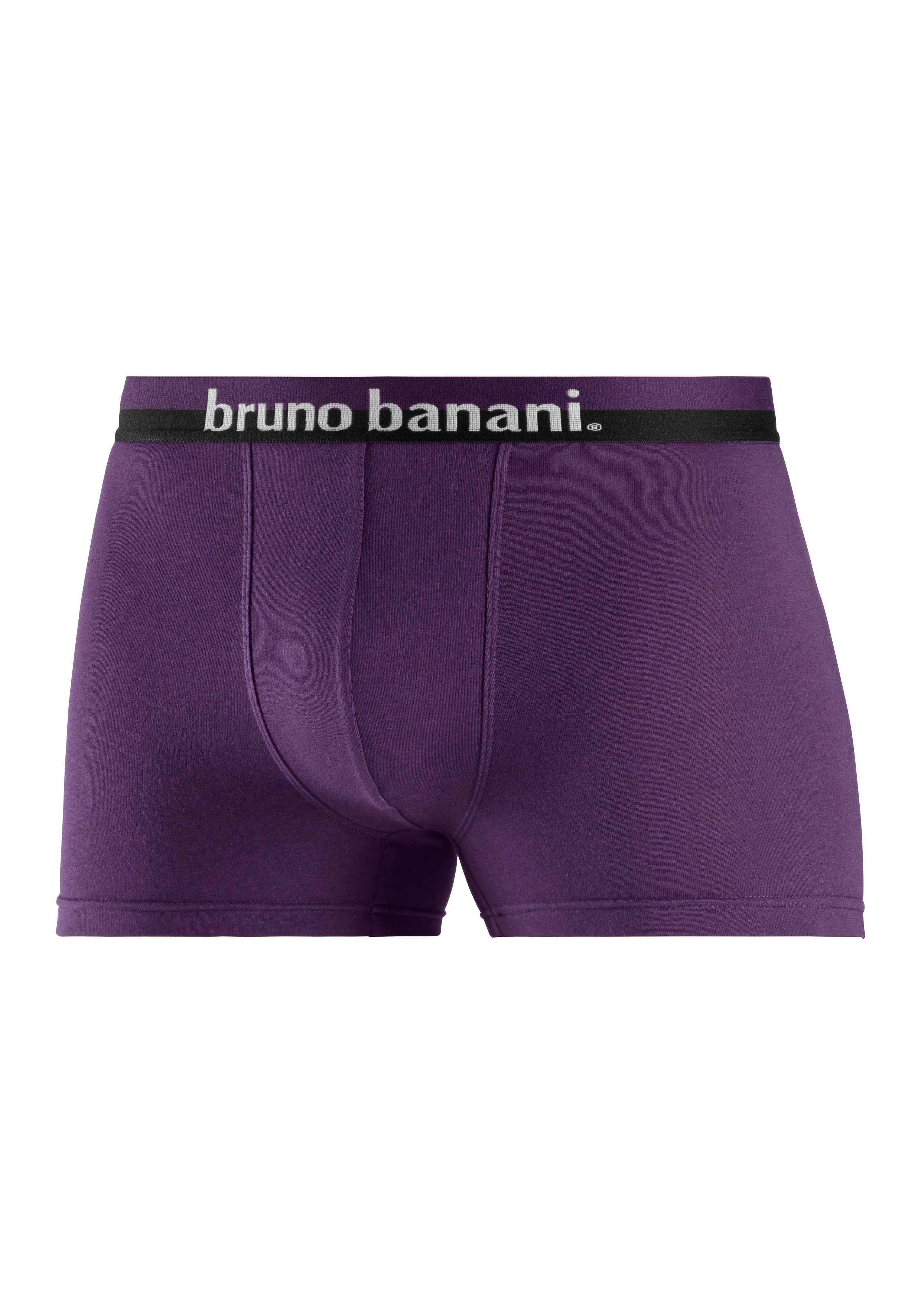 auf dem erhabenem Bund 4-St) anthrazit petrol, mit blau, Banani Bruno Boxer (Packung, Logo-Druck navy,