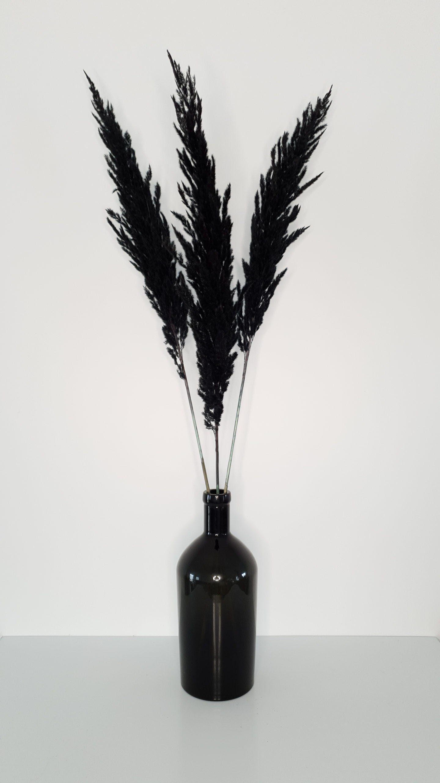 Schwarze Vase Mit Pampasgras