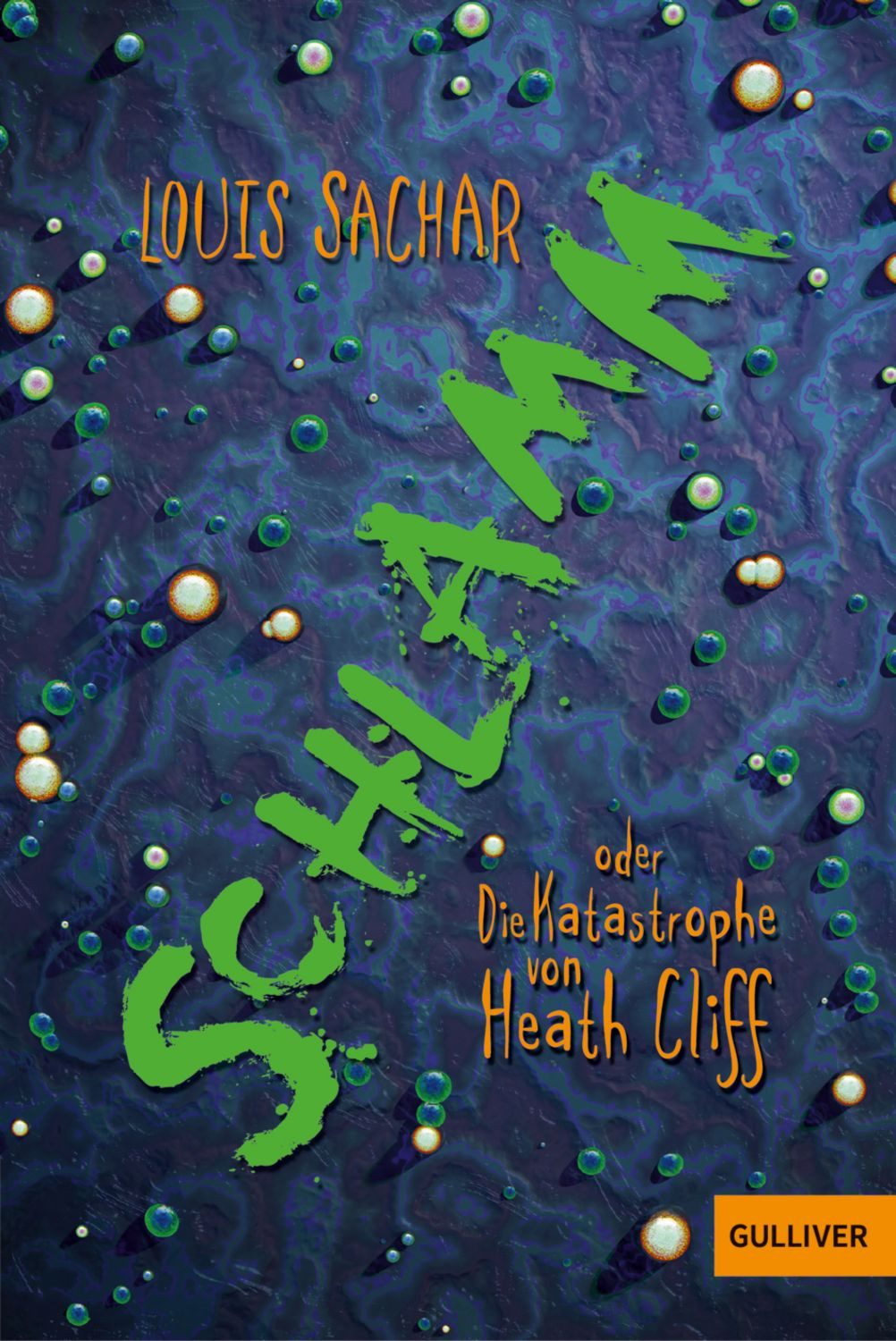 Schlamm oder Die Katastrophe von Heath Cliff / Louis Sachar