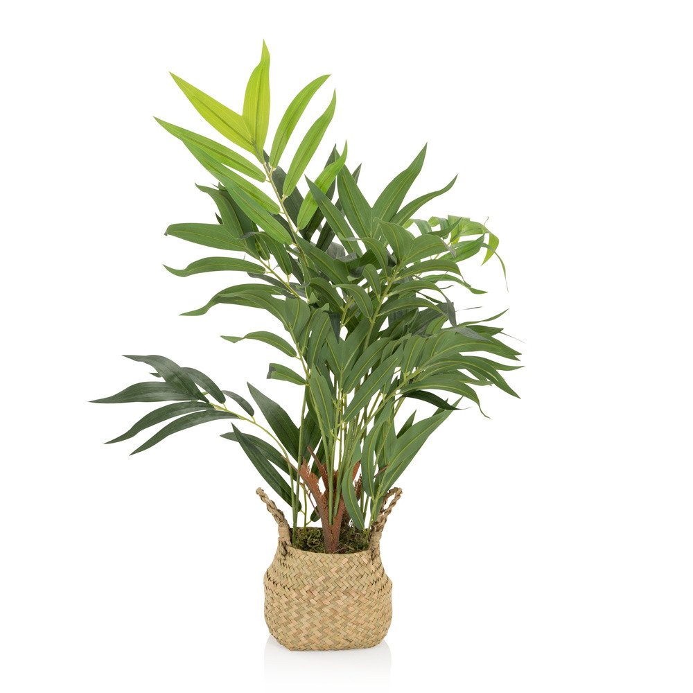 Kunstpflanze Kunstpflanze CHAMAEDOREA Kunststoff, Stoff Palme, hjh OFFICE, Höhe 65.0 cm, Künstliche Zimmerpflanze Bergpalme im Rattan-Korb, Kunstpalme Pflanze. € 64,90