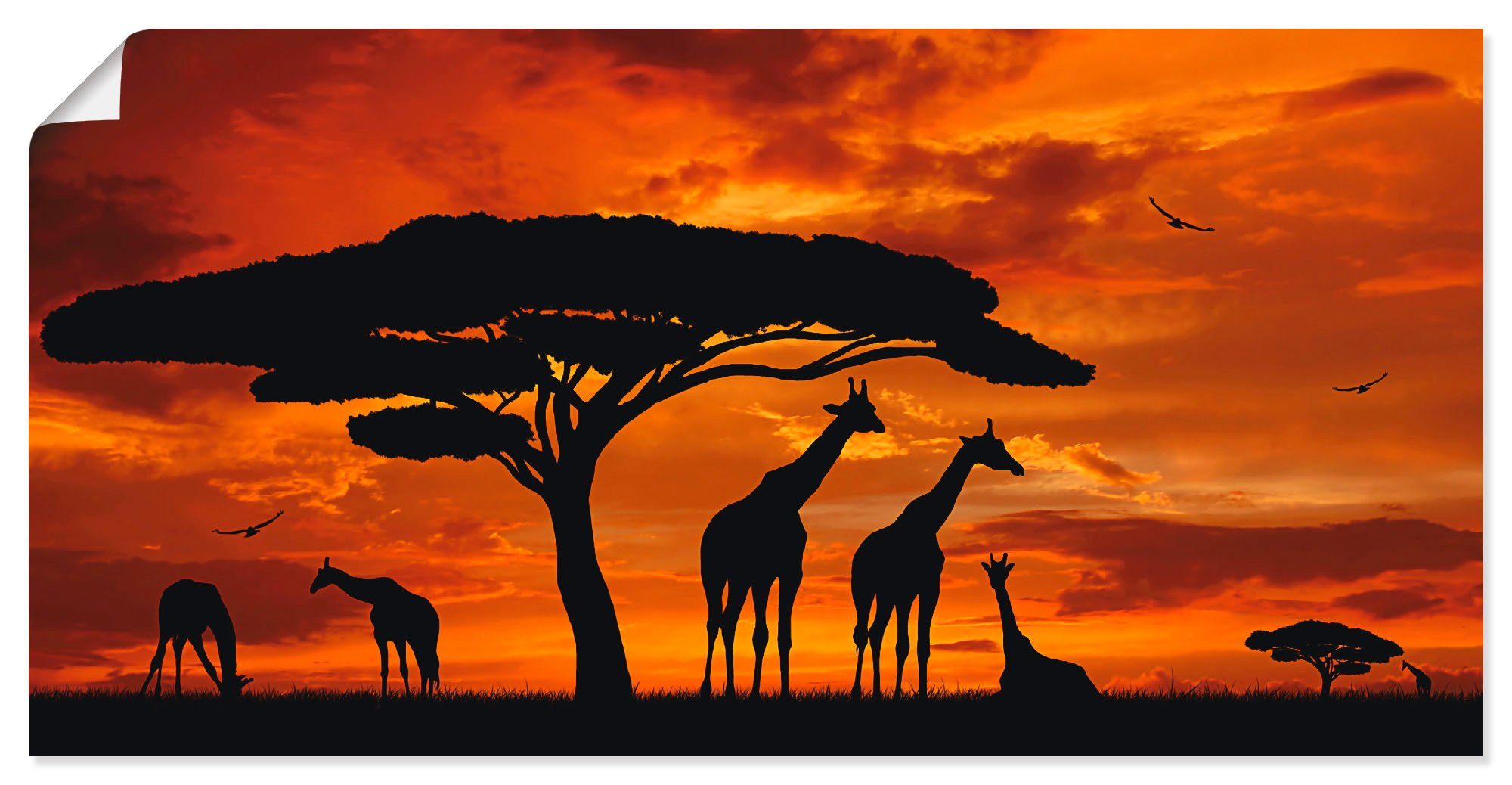 Artland Wandbild Herde von Giraffen im Sonnenuntergang, Wildtiere (1 St), als Alubild, Leinwandbild, Wandaufkleber oder Poster in versch. Größen