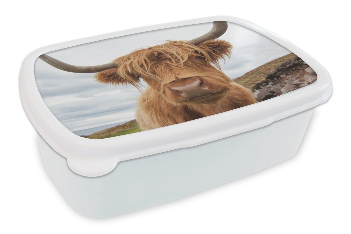 MuchoWow Lunchbox Schottischer Hochländer - Kuh - Landschaft, Kunststoff, (2-tlg), Brotbox für Kinder und Erwachsene, Brotdose, für Jungs und Mädchen weiß