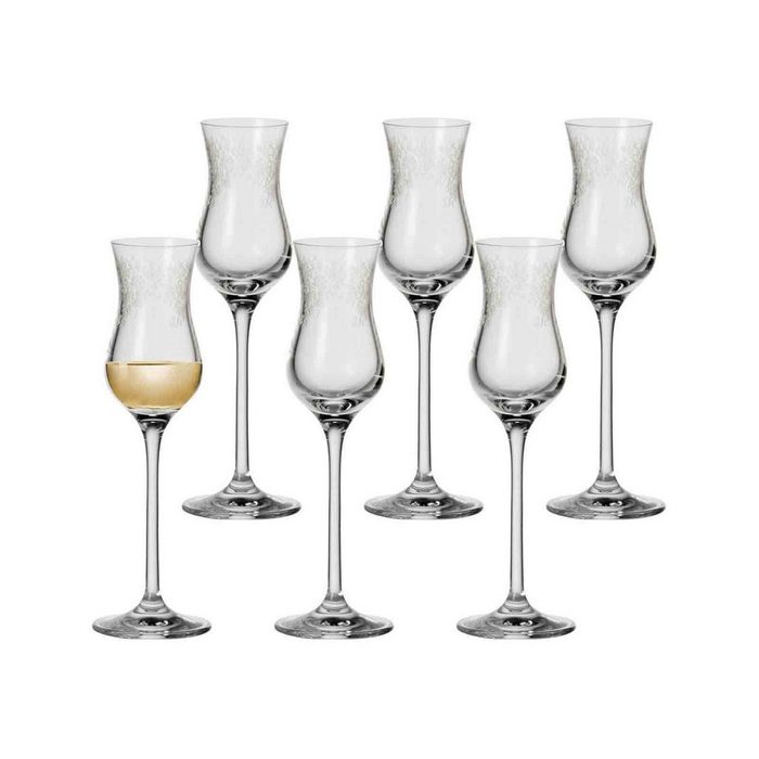 LEONARDO Schnapsglas Chateau Grappagläser 50 ml 6er Set Glas