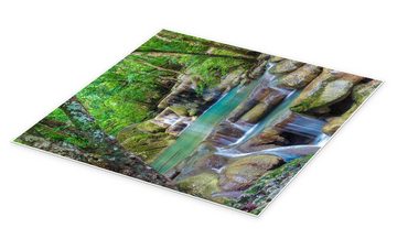 Posterlounge Poster Editors Choice, Kleiner Wasserfall im Wald, Fotografie