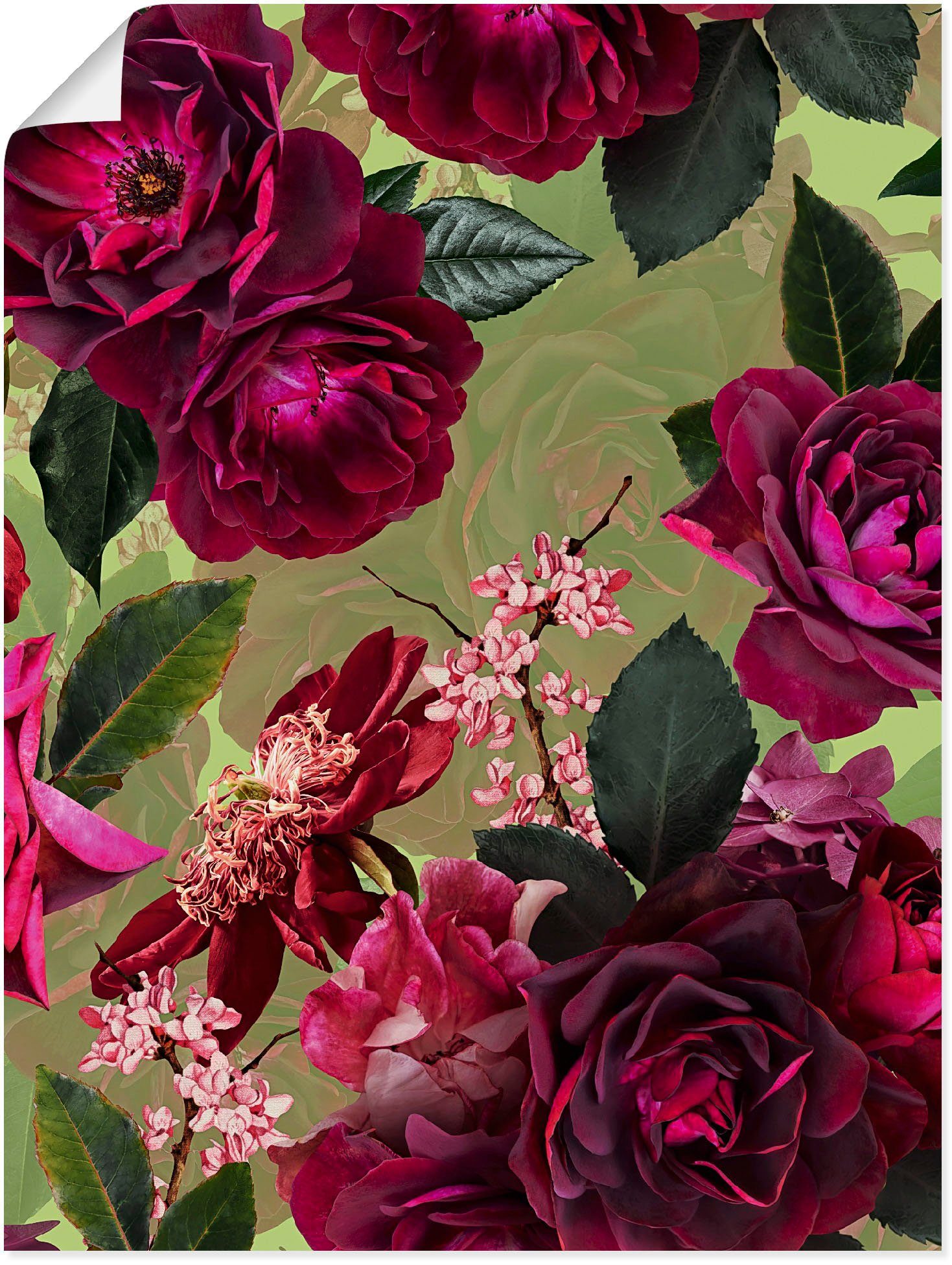 Artland Wandbild Dunkle Rosen auf Grün, Blumenbilder (1 St), als Alubild, Leinwandbild, Wandaufkleber oder Poster in versch. Größen | Poster