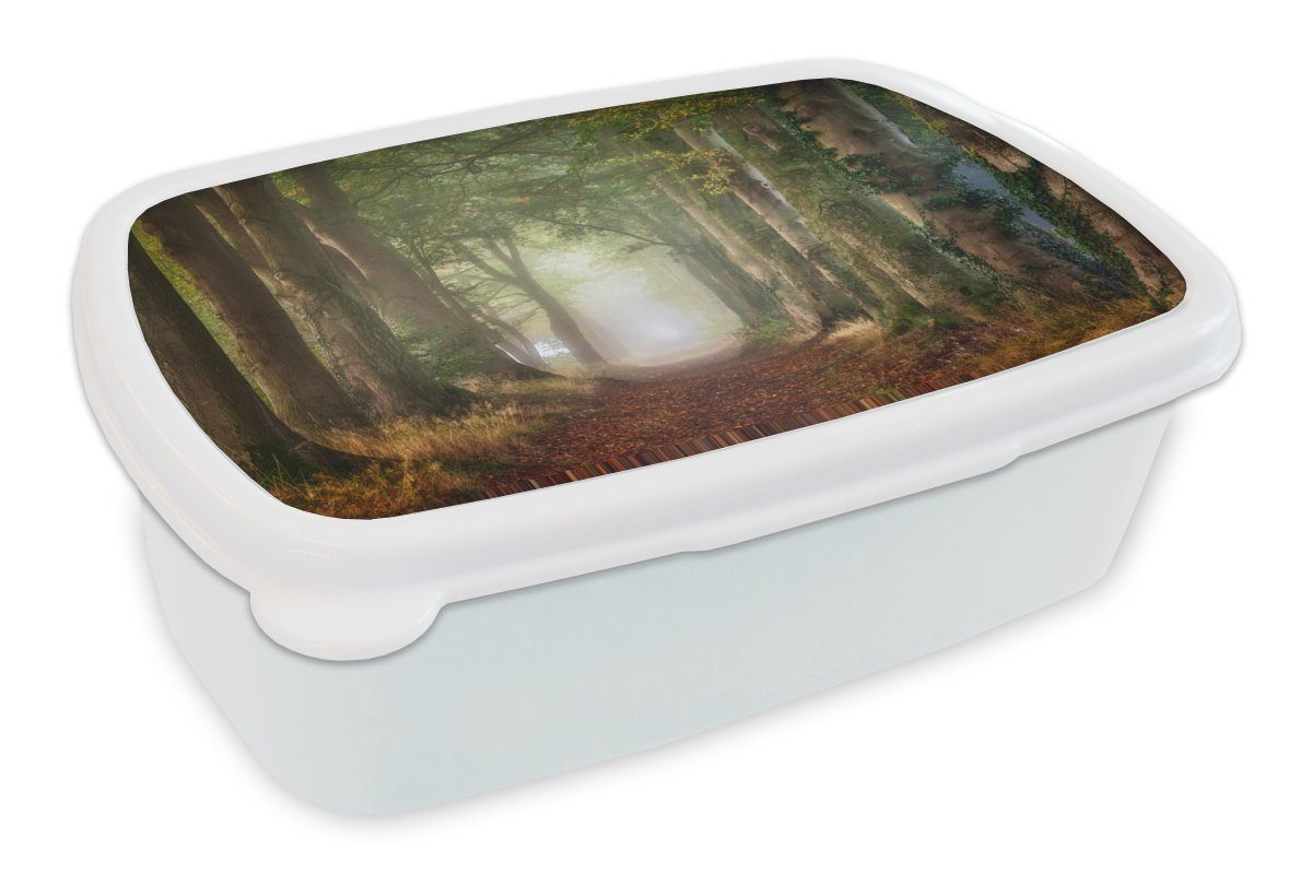 Weg Kinder Brotbox weiß - (2-tlg), Brotdose, Herbst Kunststoff, für Jungs Erwachsene, und für Pflanzen Mädchen - - - und Lunchbox Laub, MuchoWow Bäume Nebel Wald und -