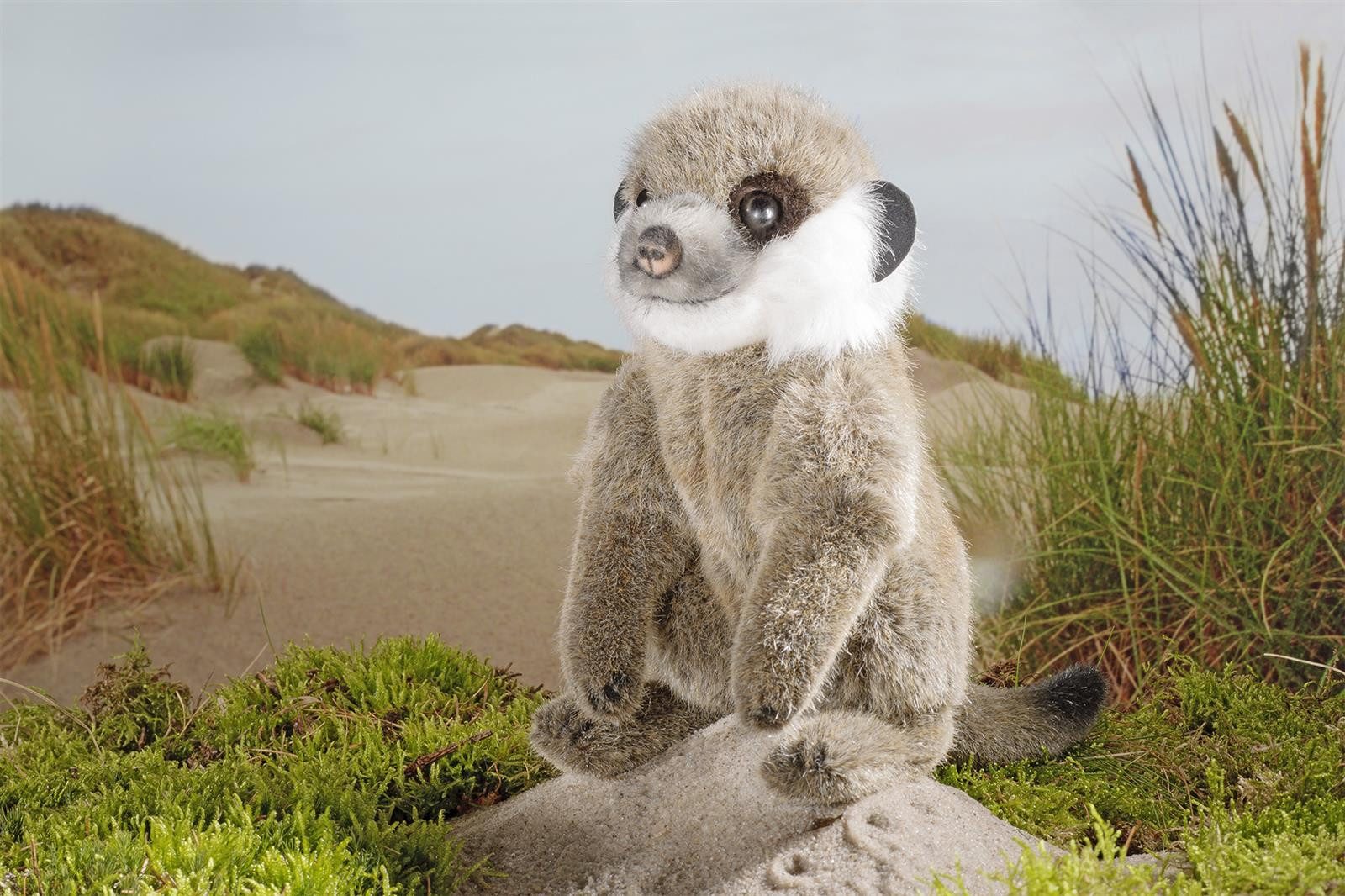 Kösen Kuscheltier Kösen Erdmännchenbaby 21 cm (Plüschtiere Erdmännchen Stofftiere Meerkatzen)