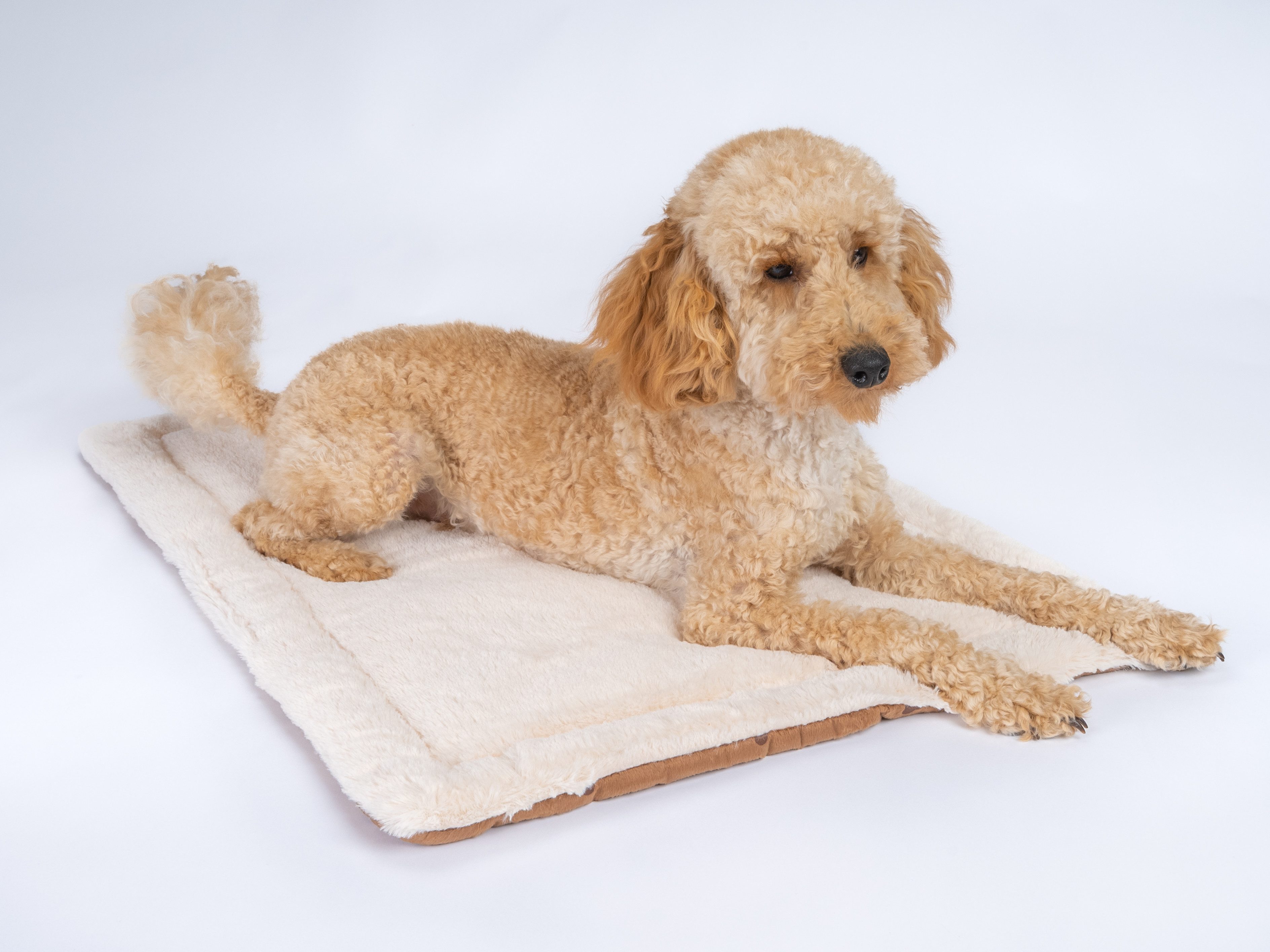 TrendPet Tierdecke Hundedecke "Relax", 100% Polyester, günstig online kaufen