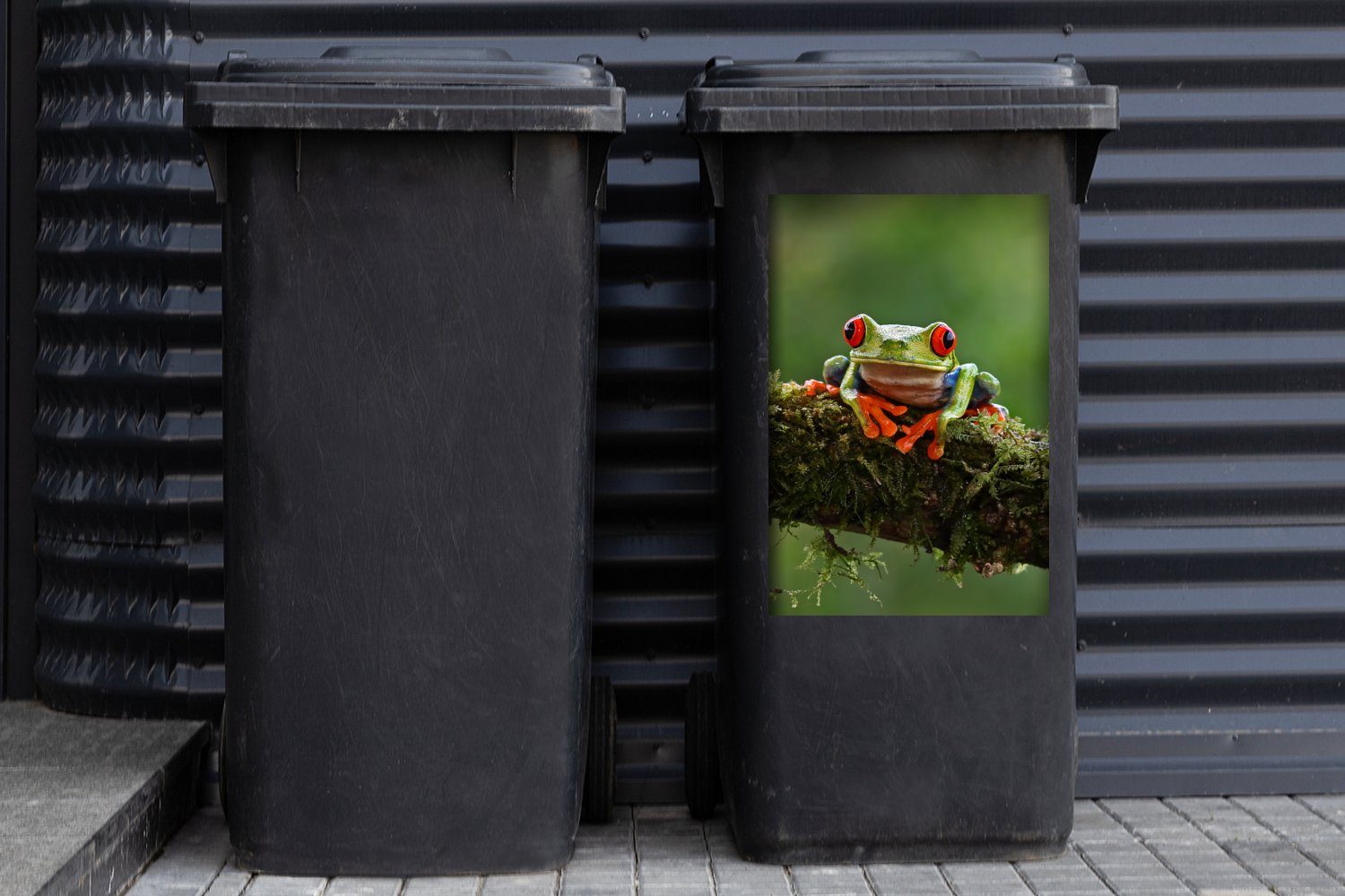 (1 St), Mülleimer-aufkleber, Mülltonne, Sticker, Rotäugiger Abfalbehälter Wandsticker MuchoWow Ast Quecksilberfrosch Container, auf bewachsenem