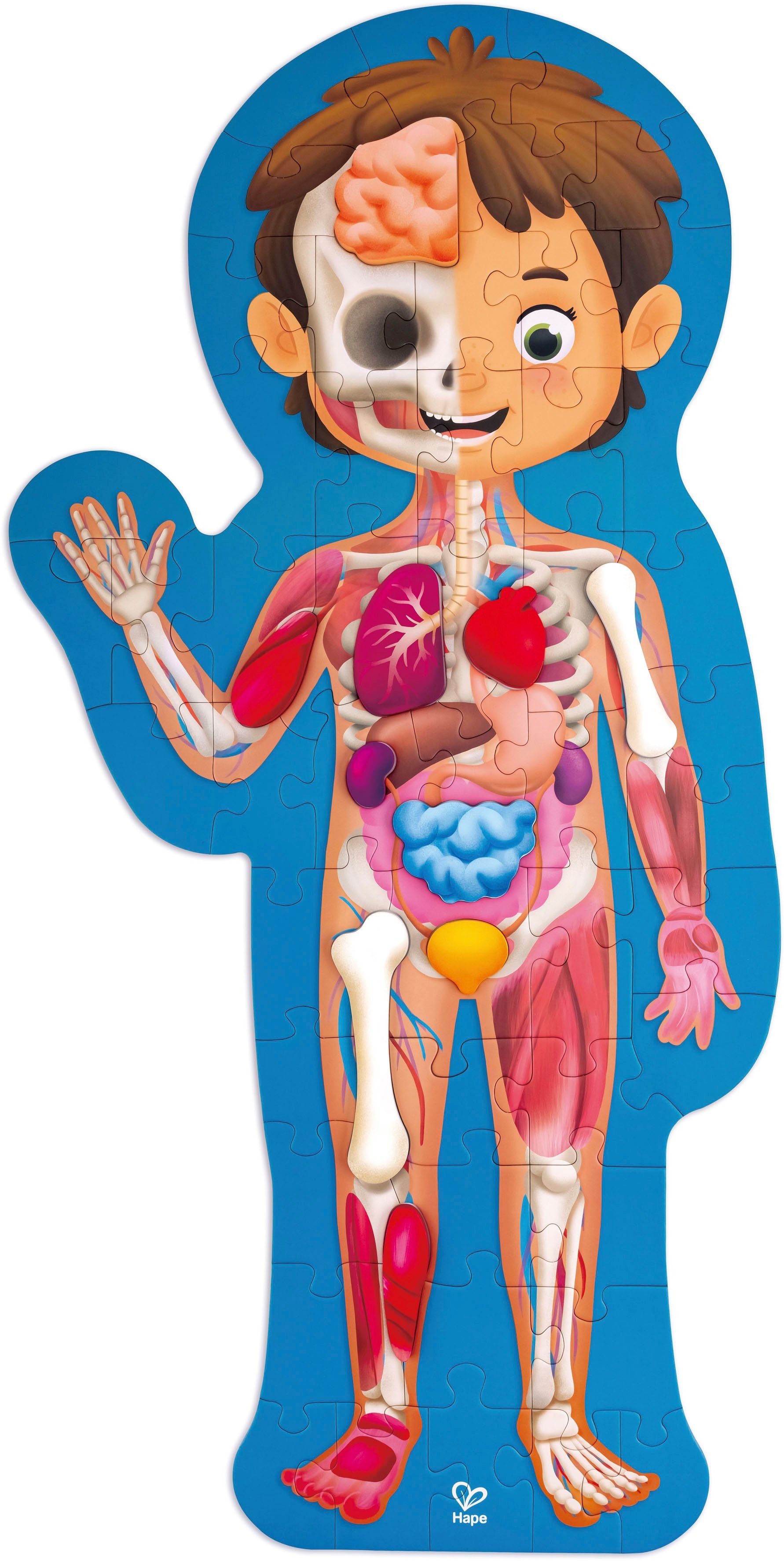 Hape Puzzle Mein Körper, 60 Puzzleteile, mit 3D-Effekt günstig online kaufen