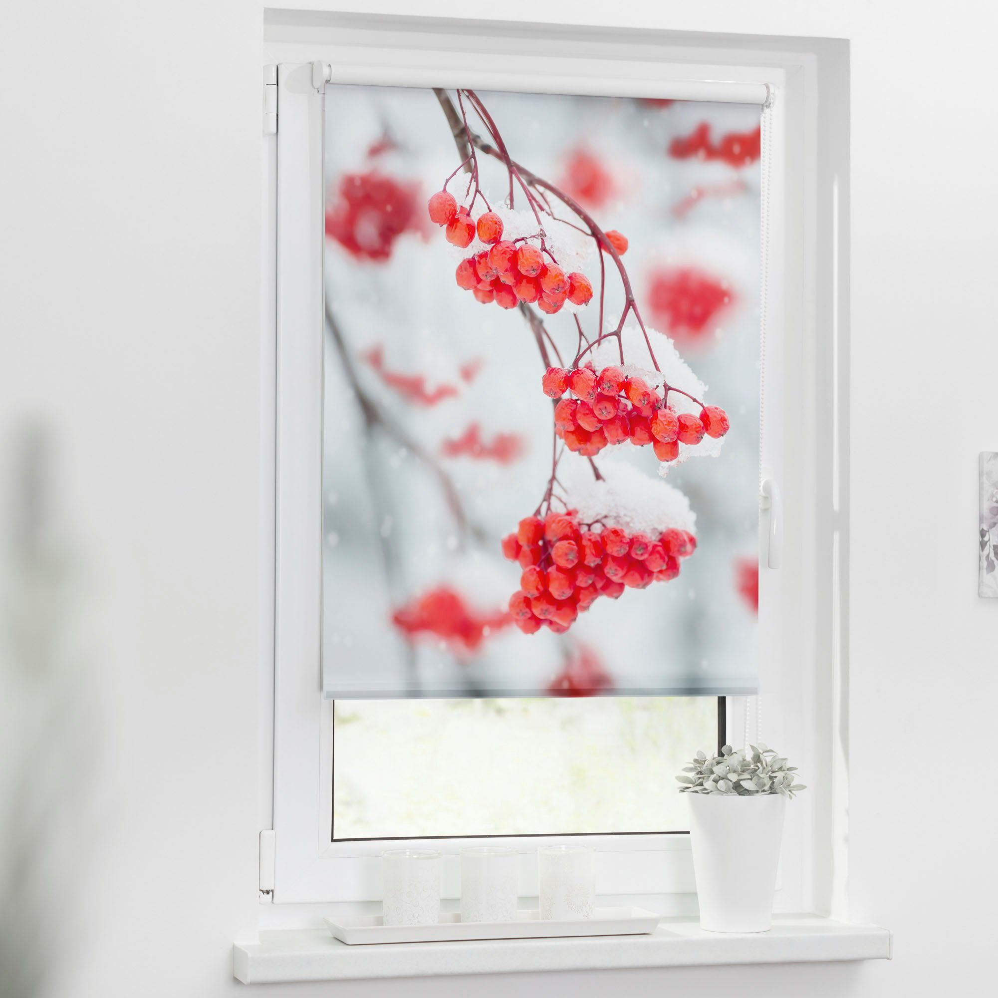 Seitenzugrollo Klemmfix Motiv Vogelbeeren, LICHTBLICK ORIGINAL, günstig online kaufen