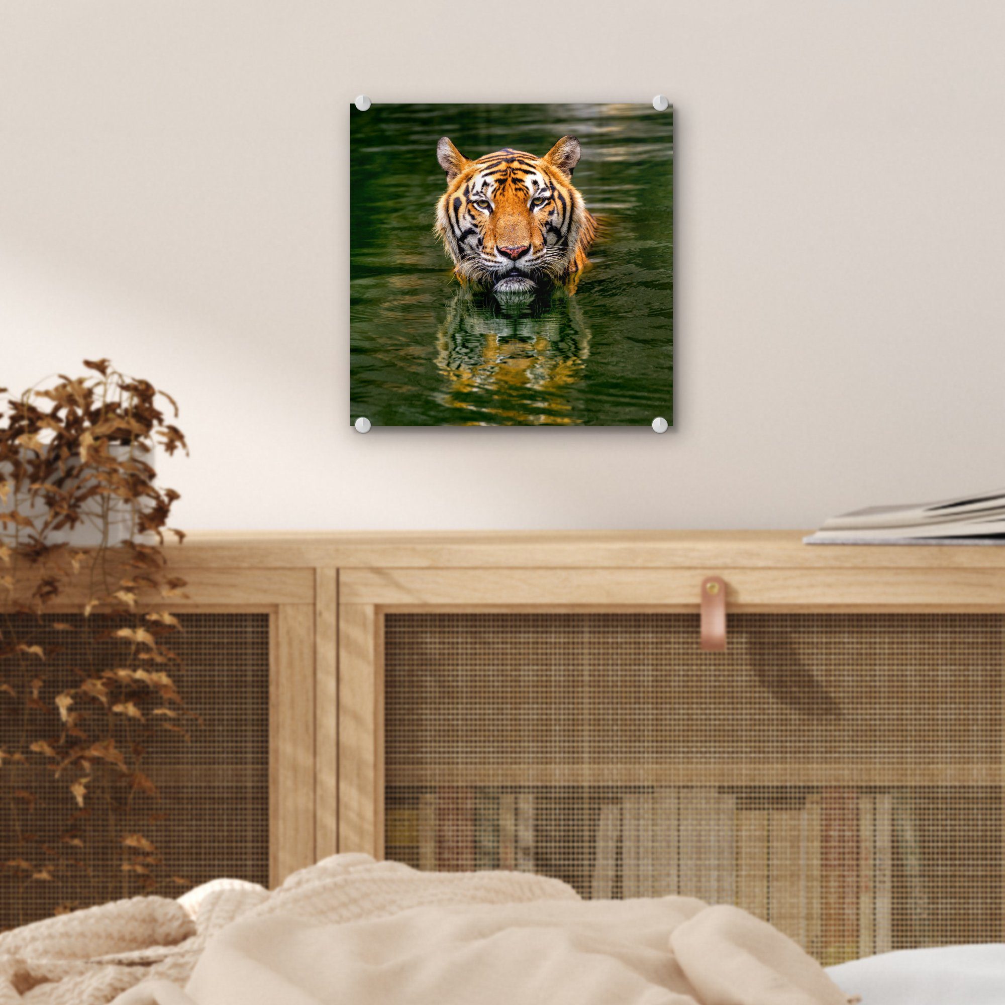 Foto auf im (1 - - Wandbild St), Glas - MuchoWow Tiger Wanddekoration Acrylglasbild Glas Bilder Wasser, Glasbilder auf