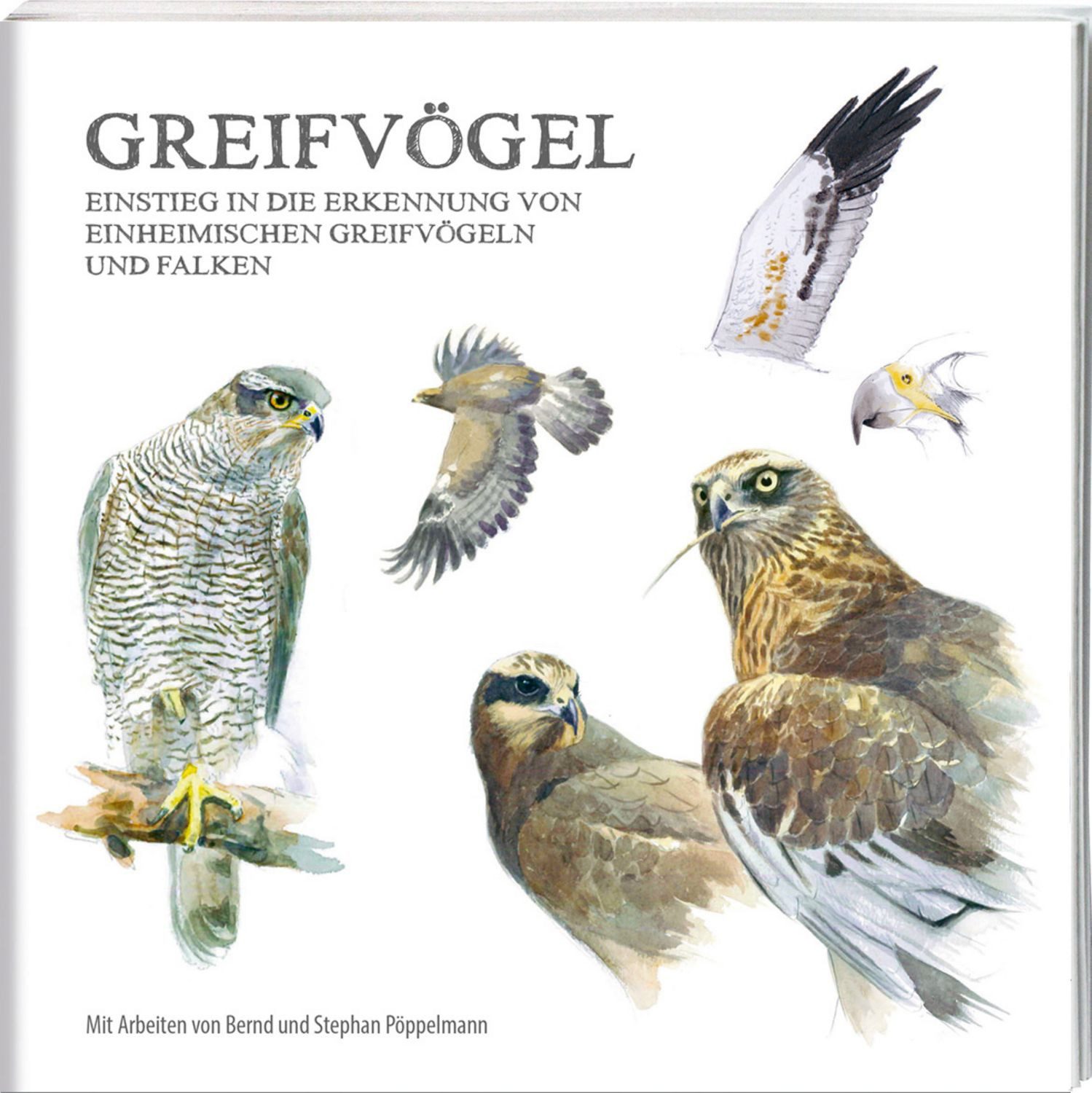 Greifvögel / Bernd Pöppelmann, Stephan Pöppelmann