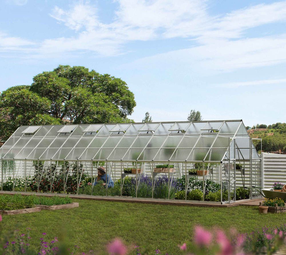 Palram - Canopia Gewächshaus, x 126  | ...