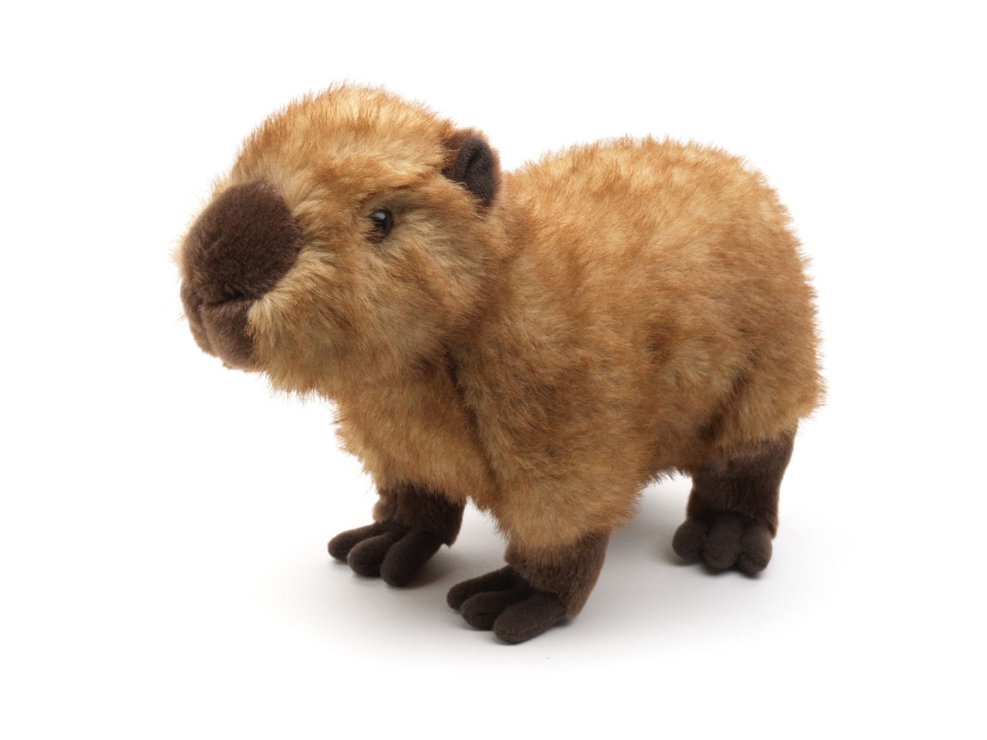 Teddys Rothenburg Kuscheltier Wasserschwein Capybara braun 28 cm Plüschtier günstig online kaufen