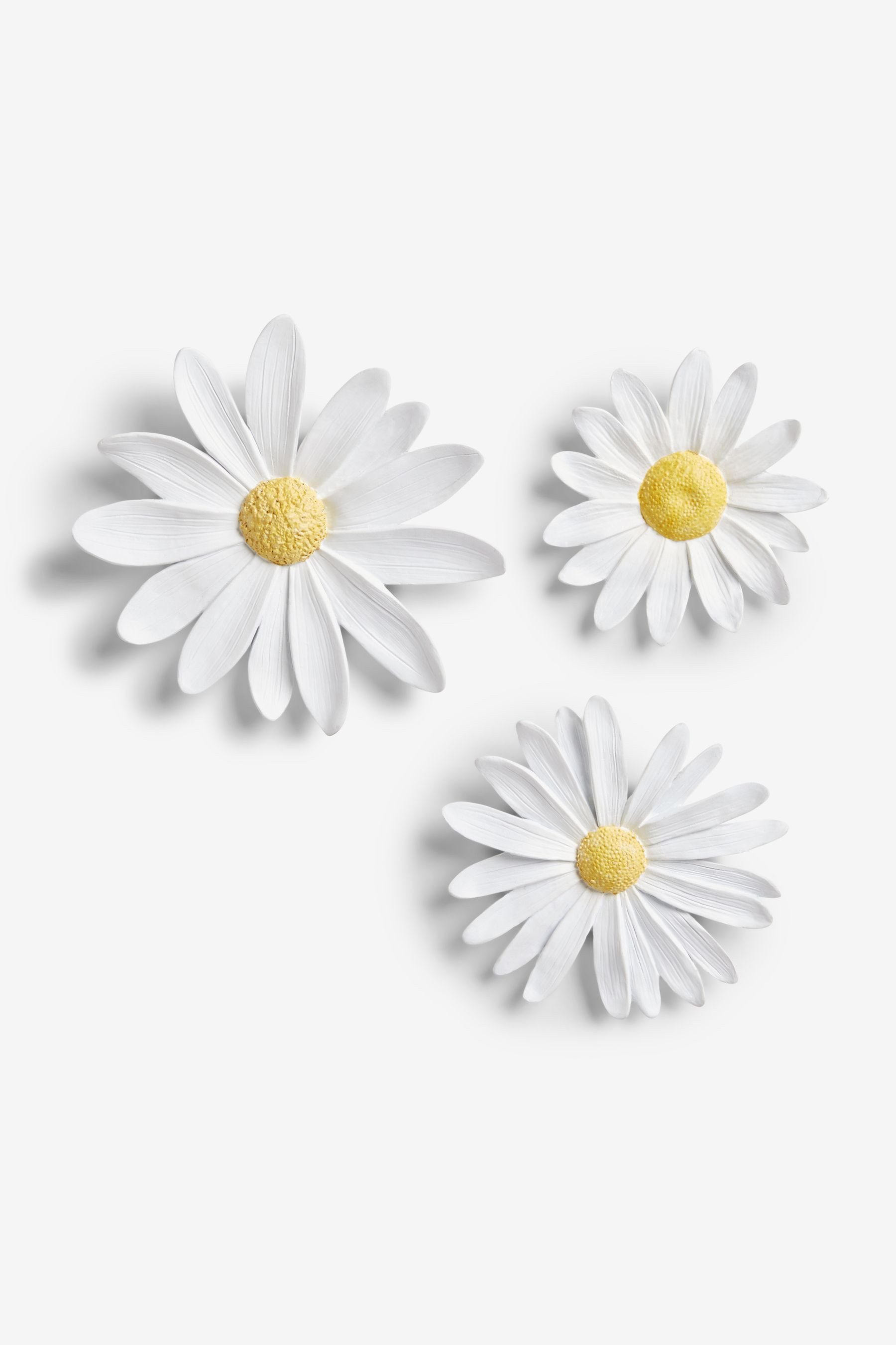 Next Wanddekoobjekt Wandkunst Gänseblümchen, 3er-Set günstig online kaufen