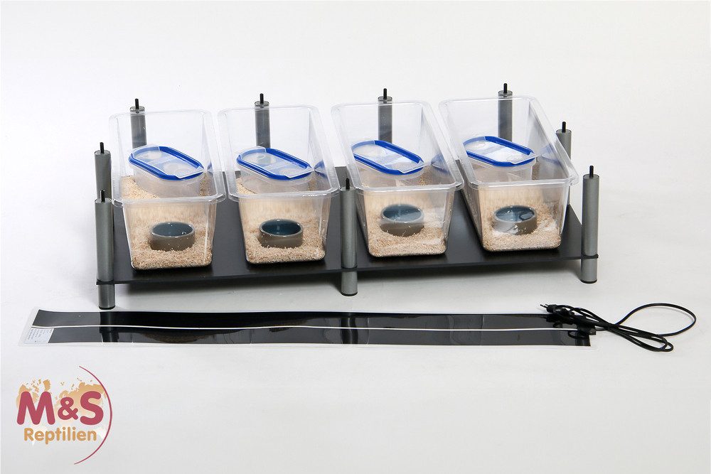 Terrarium M&S Rack System, JUNIOR "Plug and Play" - Basisetage