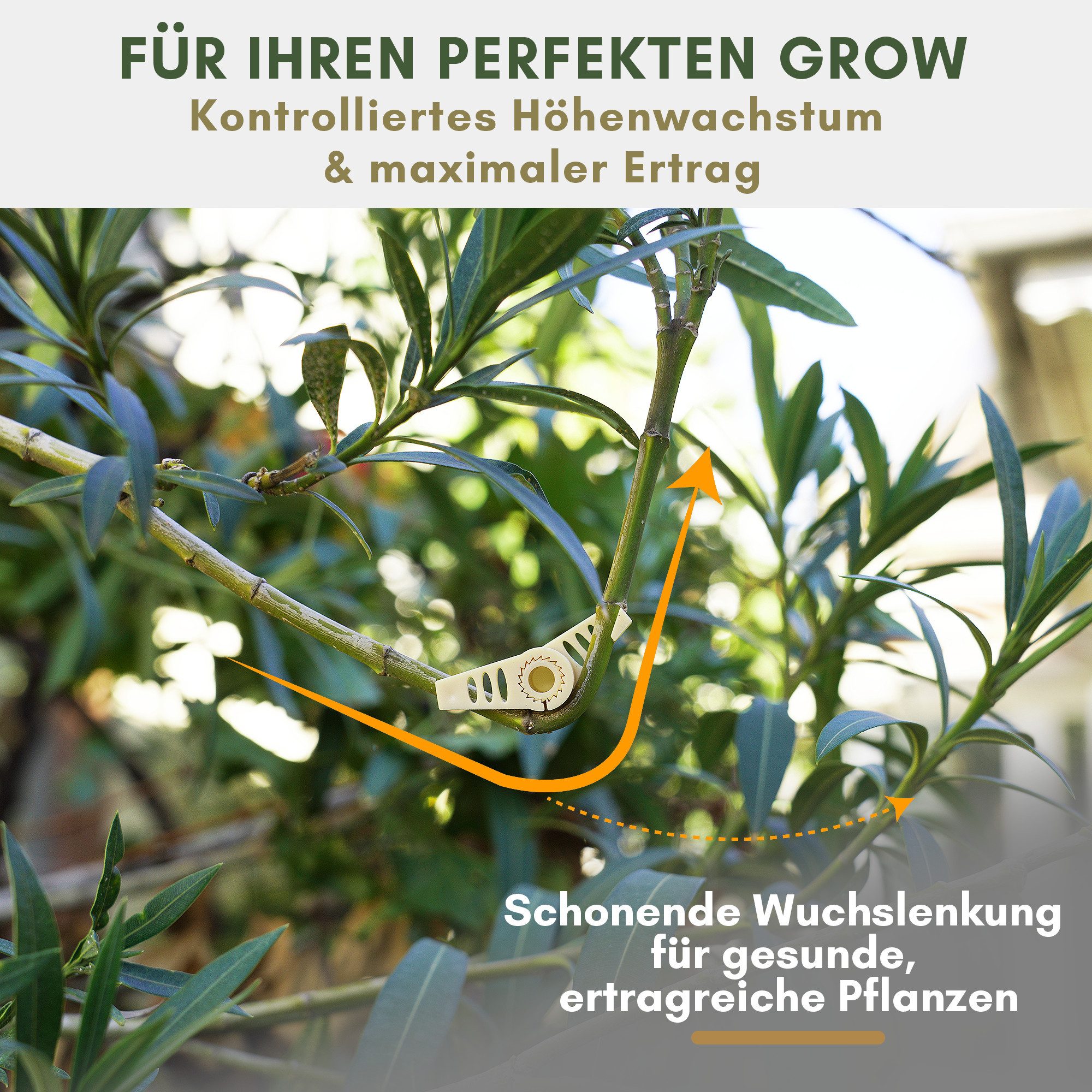 Grow Expert Gartenpflege-Set 30 Pflanzenbieger Grow LST Clips 0–360° Winkel verstellbar & 3 Größen, Pflanzentraining, Zweig- & Stammstütze perfekt für Indoor &  – Bild 4 von 5