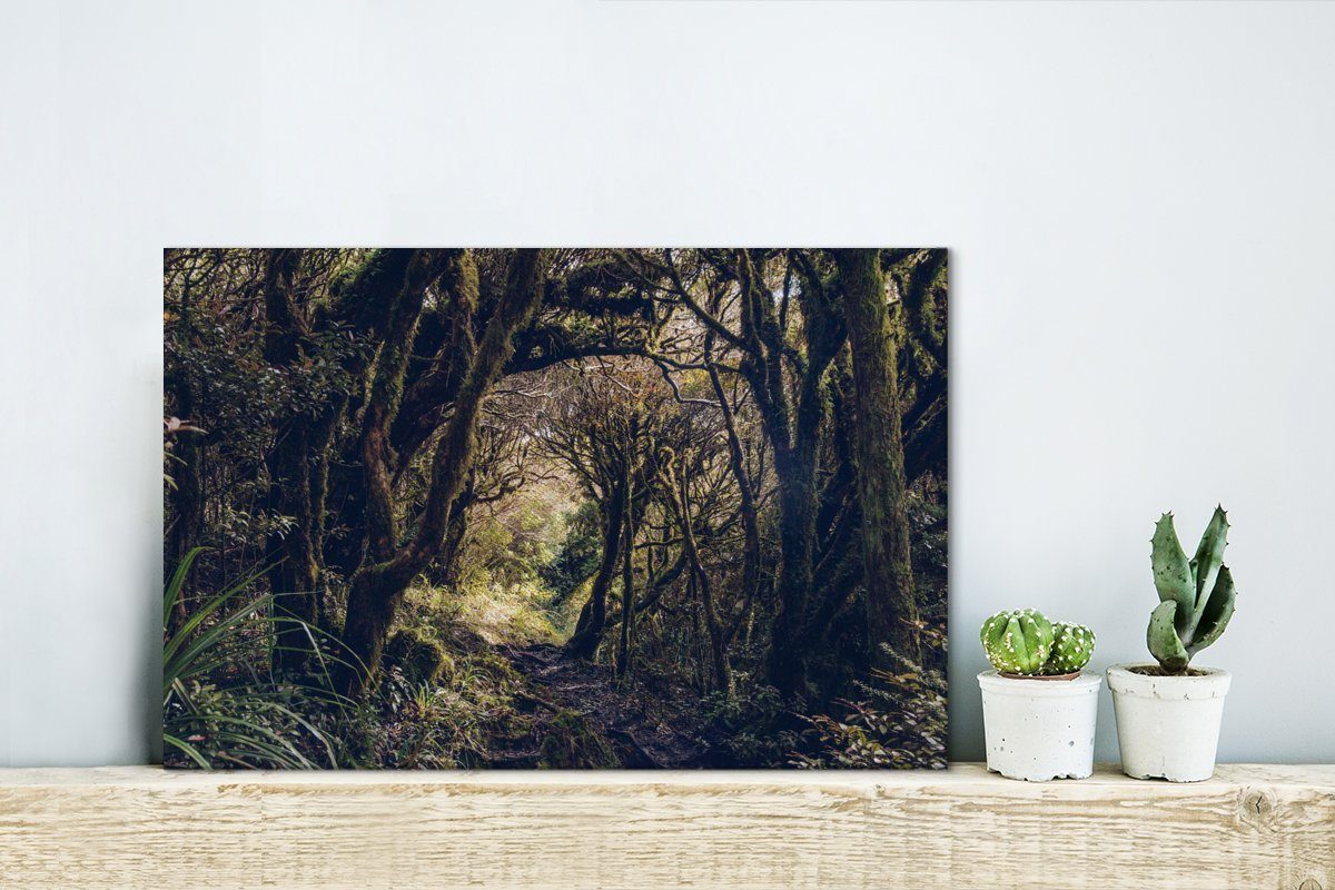 Leinwandbild OneMillionCanvasses® St), (1 30x20 Ozeanien, Wanddeko, cm Wald Wandbild in Egmont-Nationalpark im Aufhängefertig, Leinwandbilder,