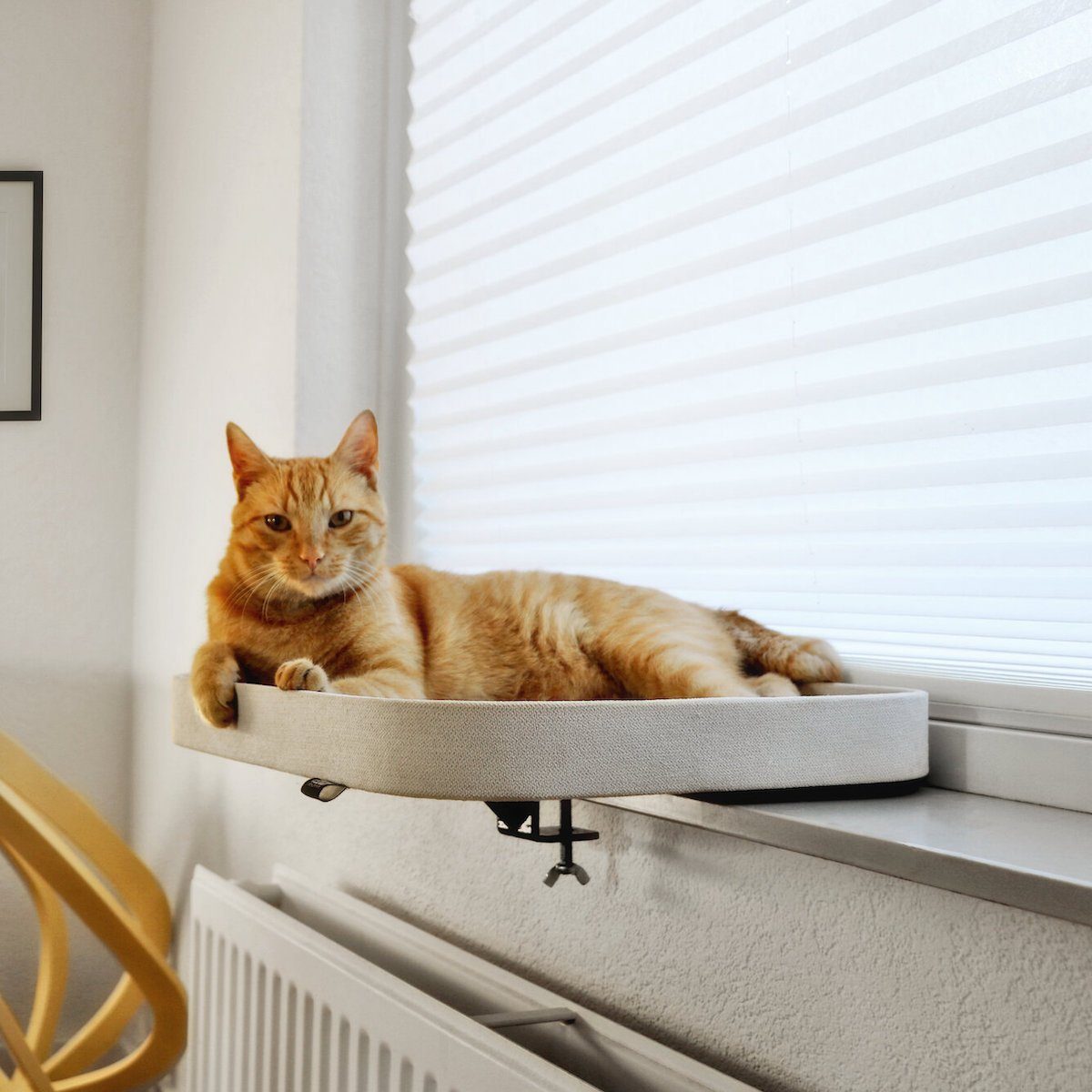Europet-Bernina Tierbett Fensterbrettkorb Kyo weiß