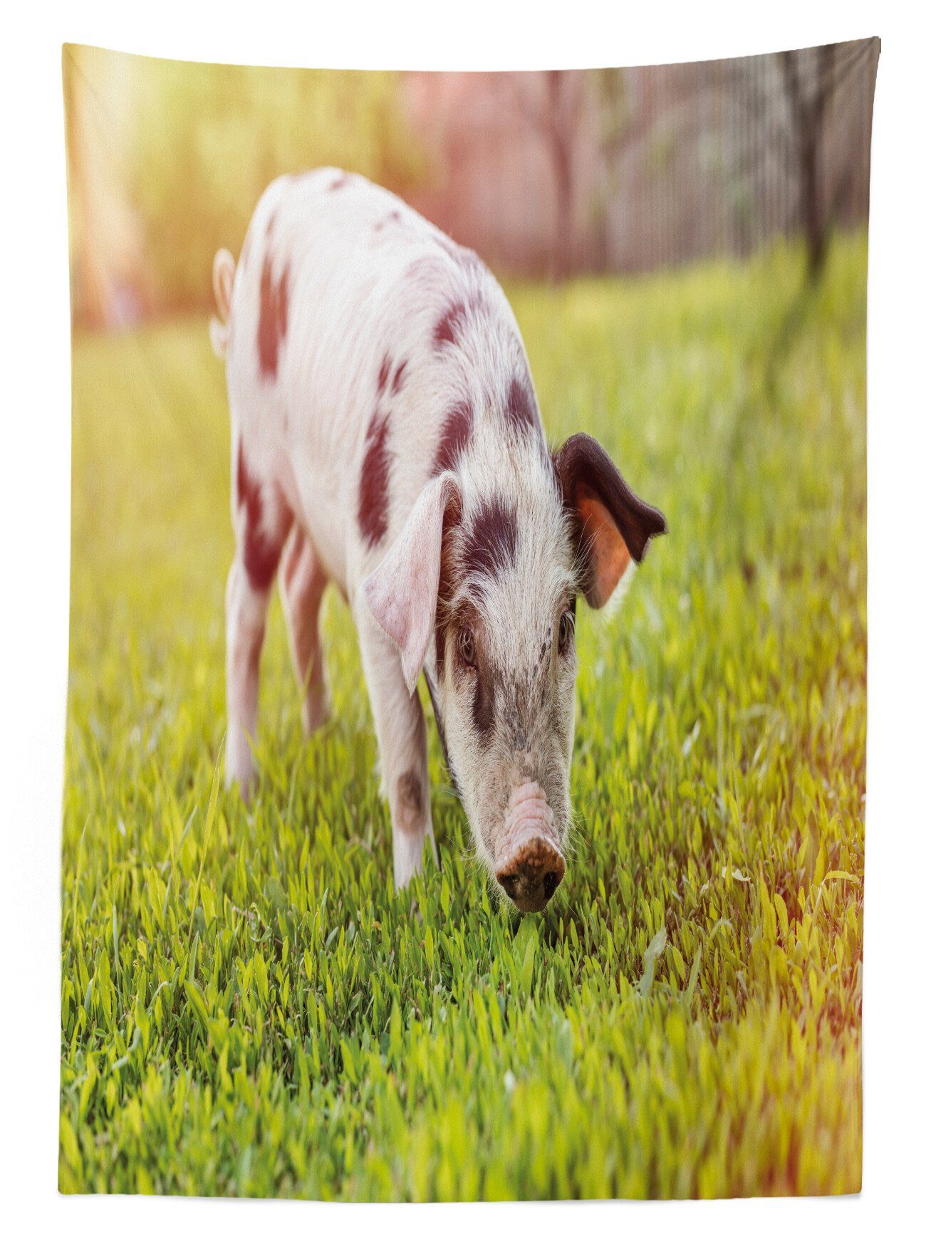 Spots Bauernhoftier Waschbar Baby-Schwein Außen Klare Bereich Für mit den Abakuhaus Farben, Tischdecke geeignet Farbfest