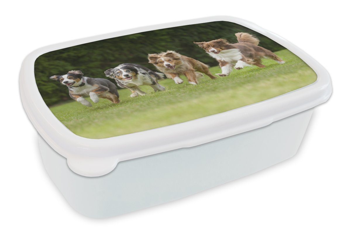 MuchoWow Lunchbox 4 Hunde laufen in einer Reihe, Kunststoff, (2-tlg), Brotbox für Kinder und Erwachsene, Brotdose, für Jungs und Mädchen weiß