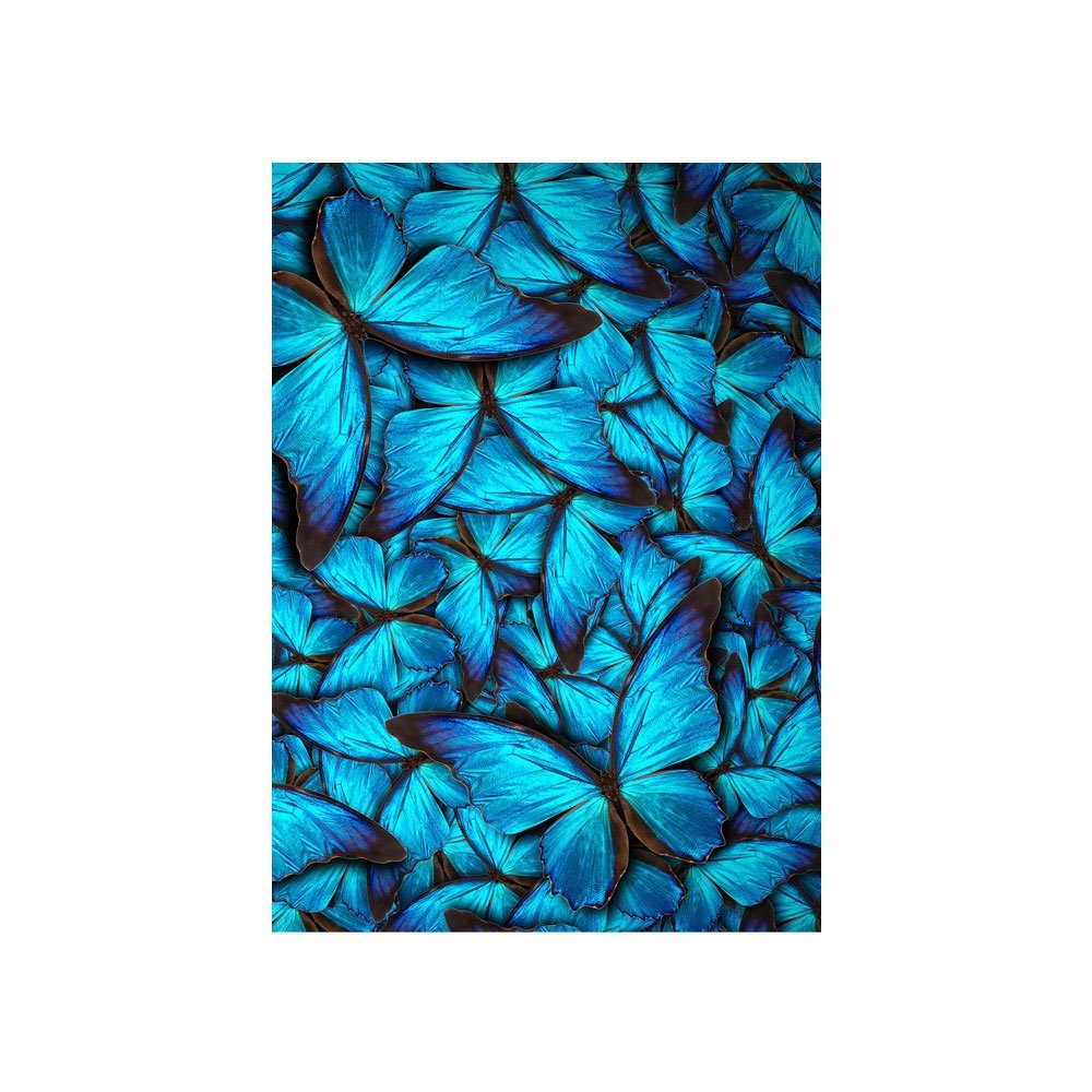 192, Fototapete Schmetterlinge Natur Fototapete liwwing Blau no. Tiere liwwing Tiere