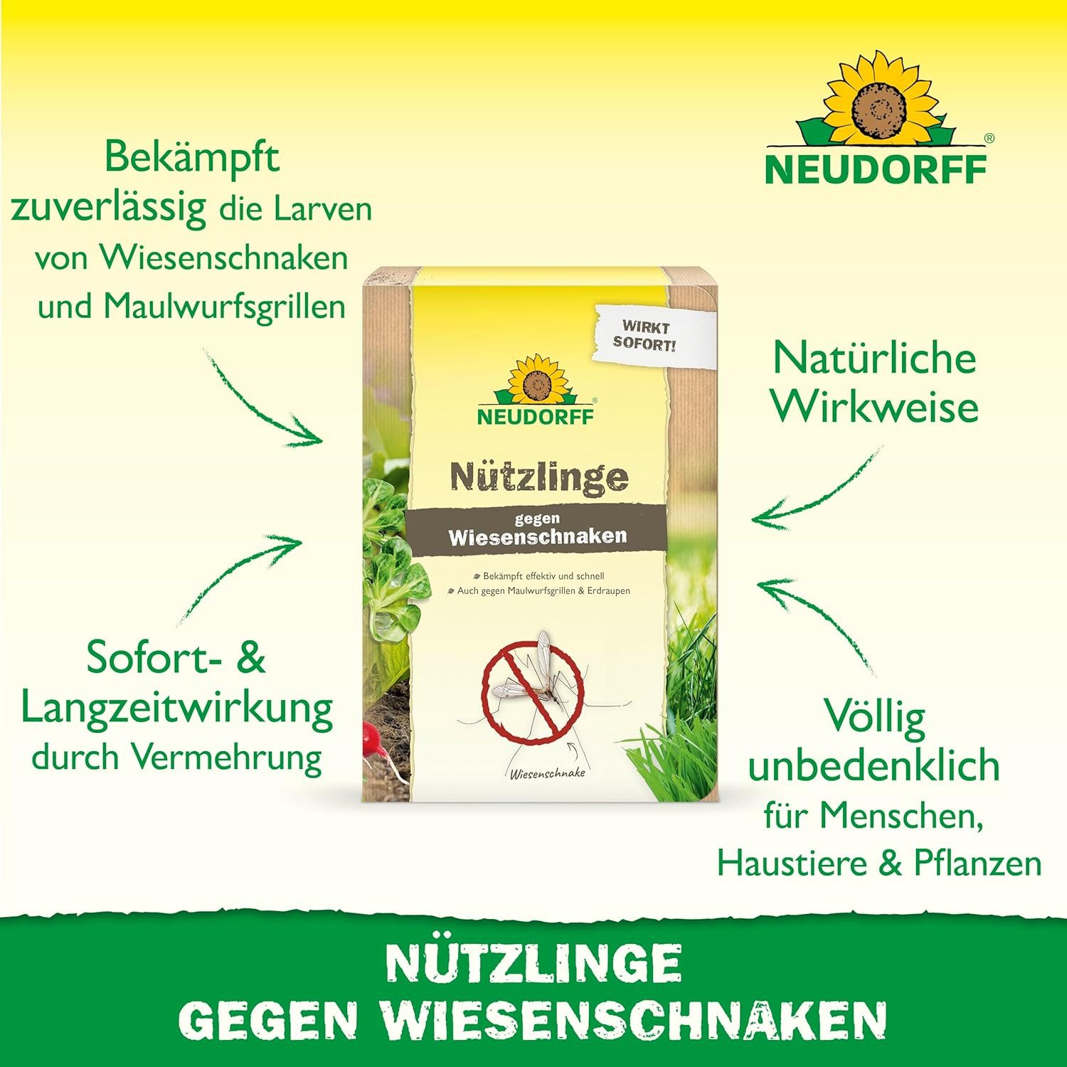 Neudorff Nematoden Nützlinge gegen Wiesenschnaken, Maulwurfsgrillen und Erdraupen, 10 Mio. für 50 m²