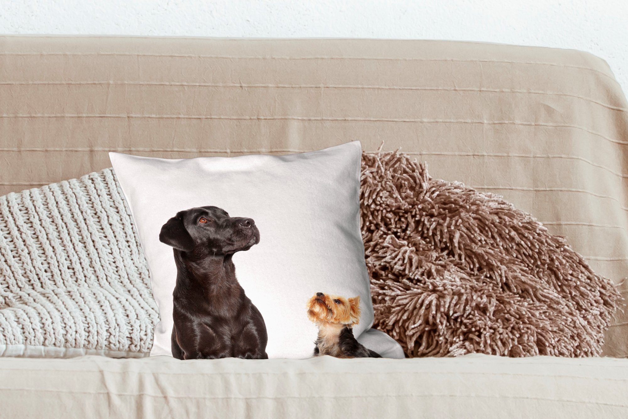 Hunde, Wohzimmer, MuchoWow Dekokissen Zierkissen Schlafzimmer, mit Aufstrebende Füllung Deko, für Sofakissen