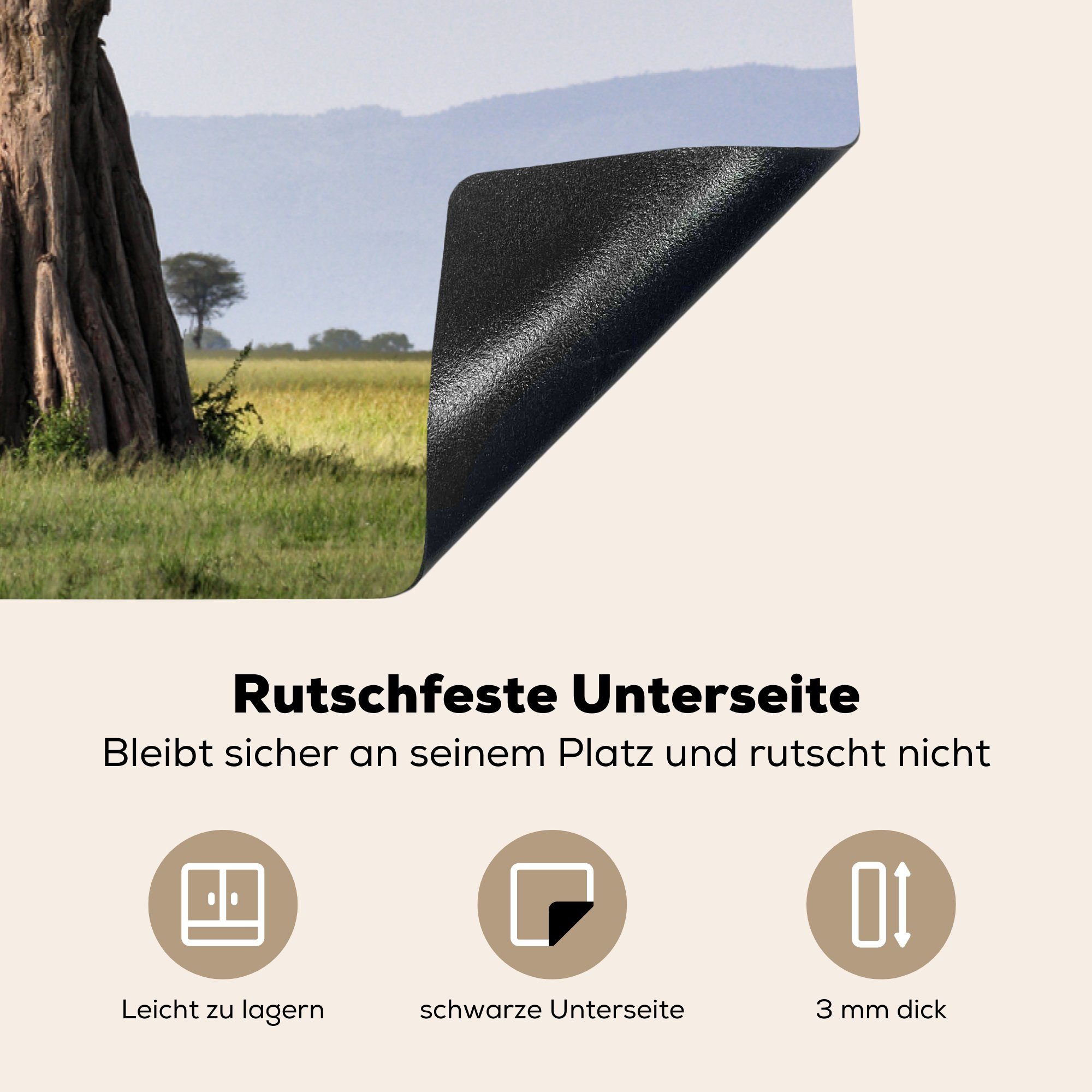 riesigem Arbeitsplatte Vinyl, für und küche cm, Baobab-Baum MuchoWow grünen Blättern, Ceranfeldabdeckung, Herdblende-/Abdeckplatte mit (1 83x51 tlg), Stamm