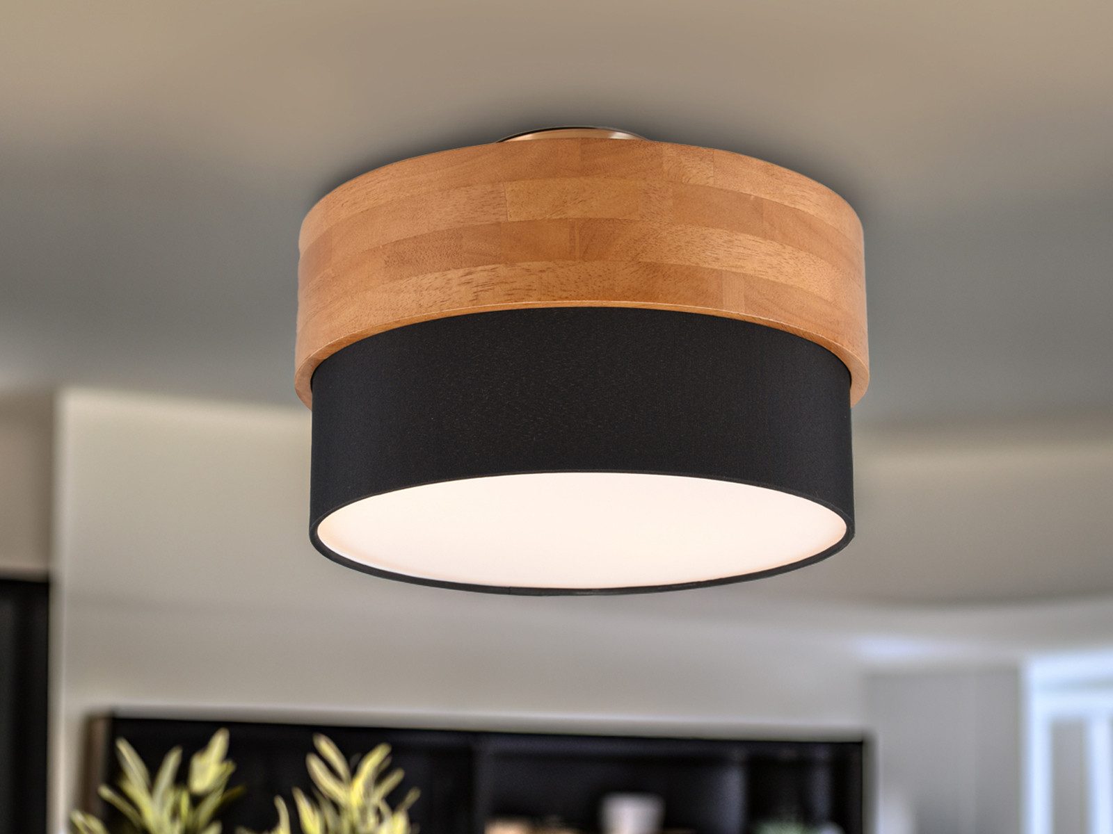 TRIO Leuchten LED Deckenleuchte, LED wechselbar, günstig online kaufen