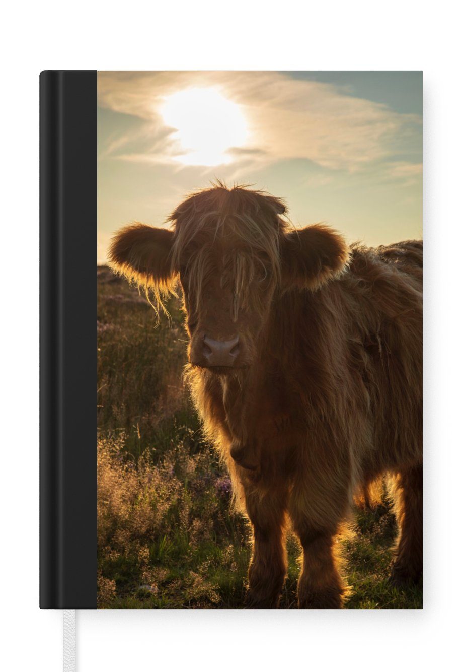 MuchoWow Notizbuch Schottischer Highlander - Sonnenuntergang - Gras, Notebook, Notizblock a5, Tagebuch, Journal Liniert