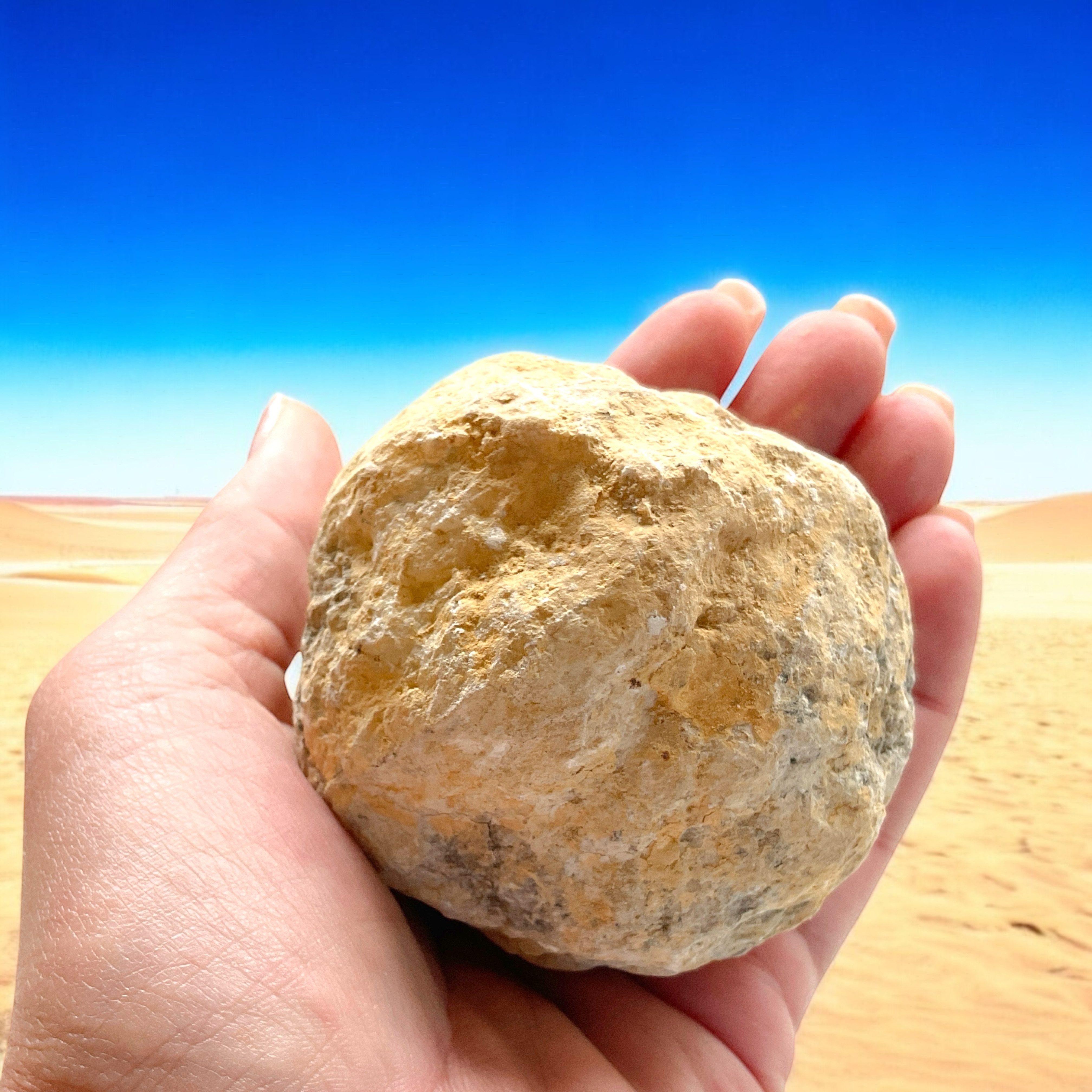 Steinfixx® Experimentierkasten grosses 5-teiliges Geoden Set - Quarzgeoden ungeöffnet, (SPARSET Grösse je 6-7 cm, Gesamt 900-1000 gr., 1-tlg., mit Anleitung und Erklärungen), garantierte weiße Kristalle, Top 1A-Qualität, Marokko