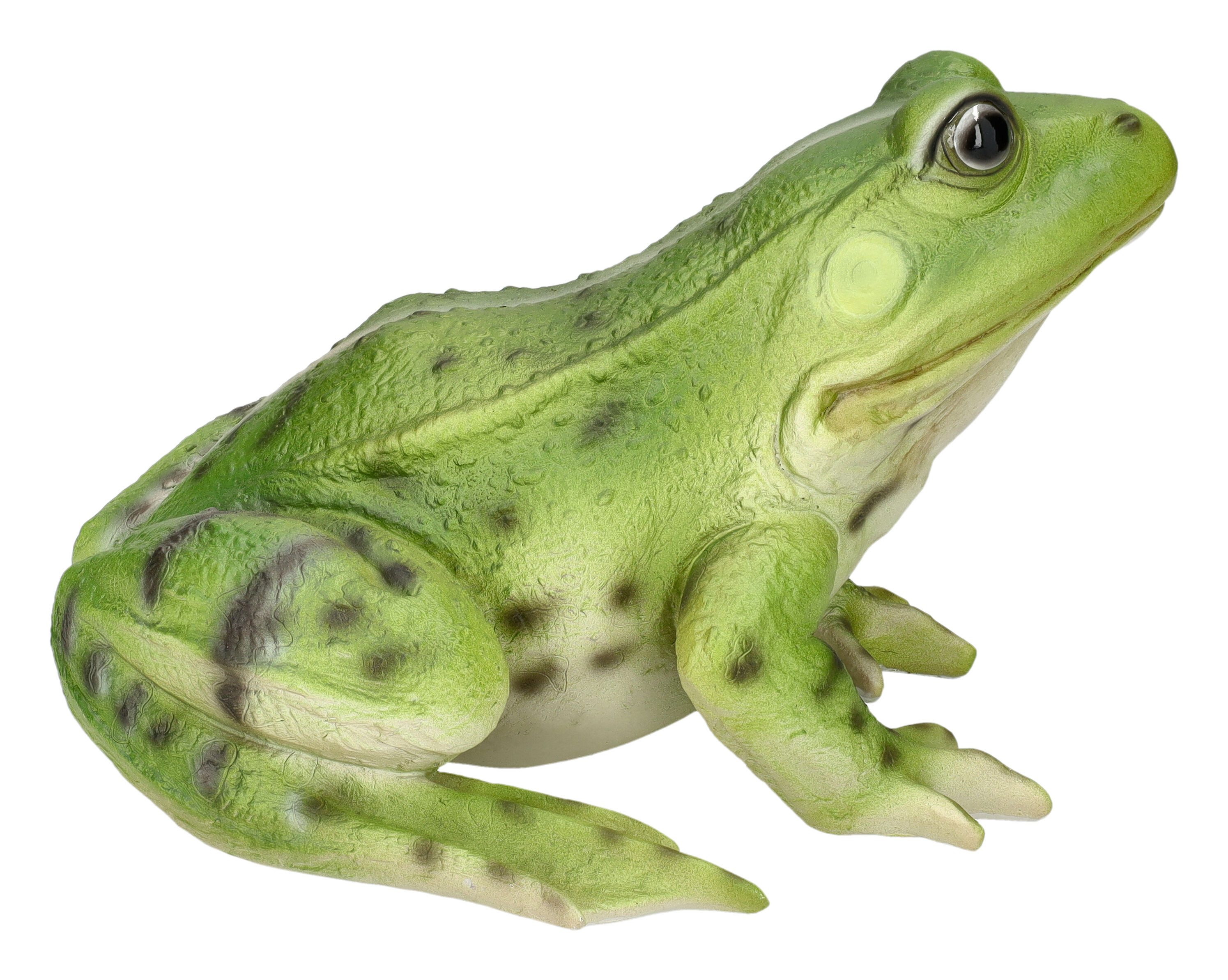 Gartenfigur Gartenfigur - Großer Frosch grün - Tierfigur HotAnt Garten Figur Deko
