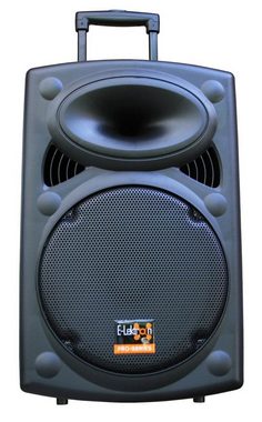 E-Lektron EL30-M mobile Soundanlage Party-Lautsprecher (Bluetooth, 350 W, Bluetooth 5.0 TWS, Talkover-Funktion, Echo-Effekt, Funkmikrofone)