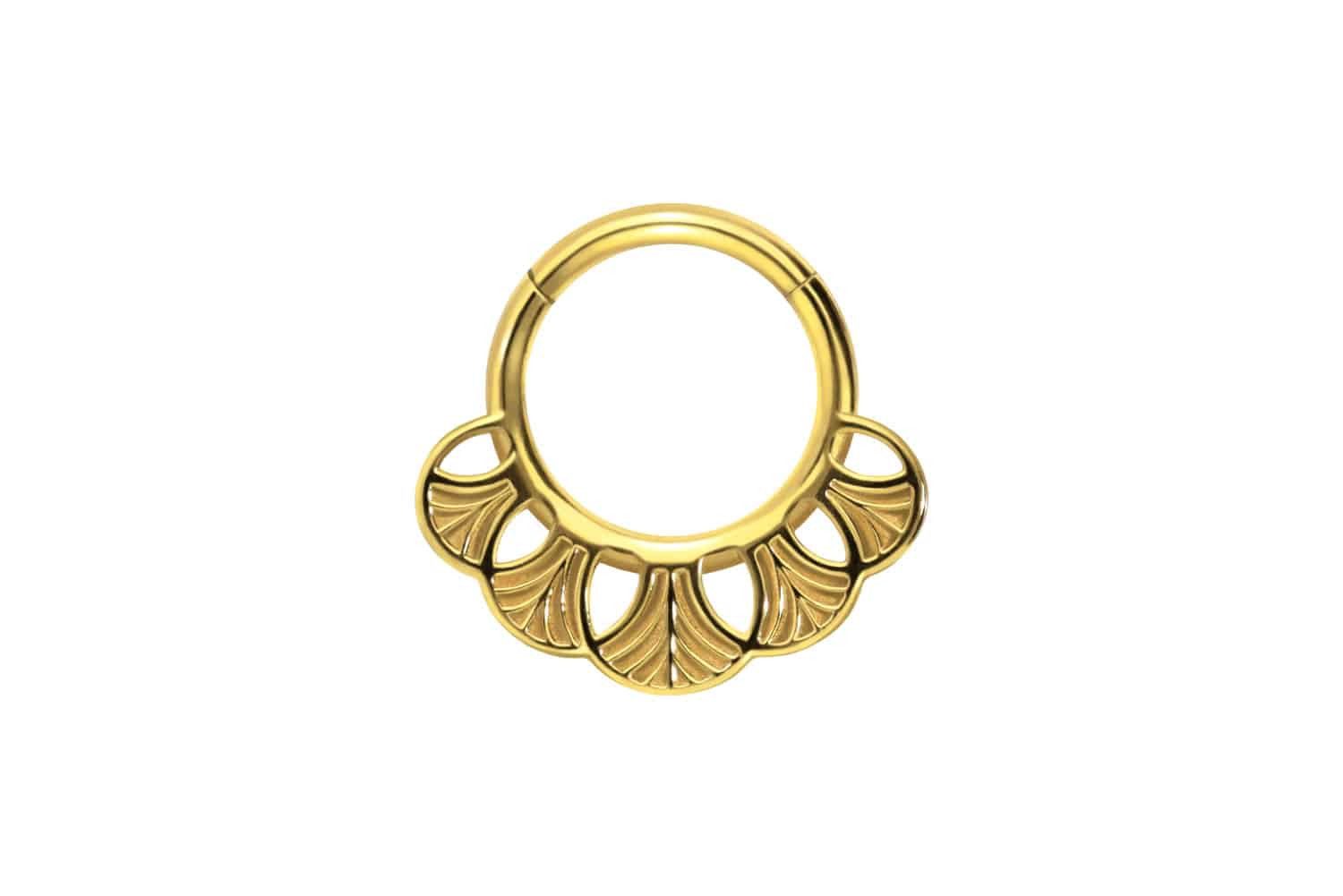 Nasenpiercing Chirurgenstahl Segmentring Clicker GINKGOBLÄTTER Ohrpiercing Septum