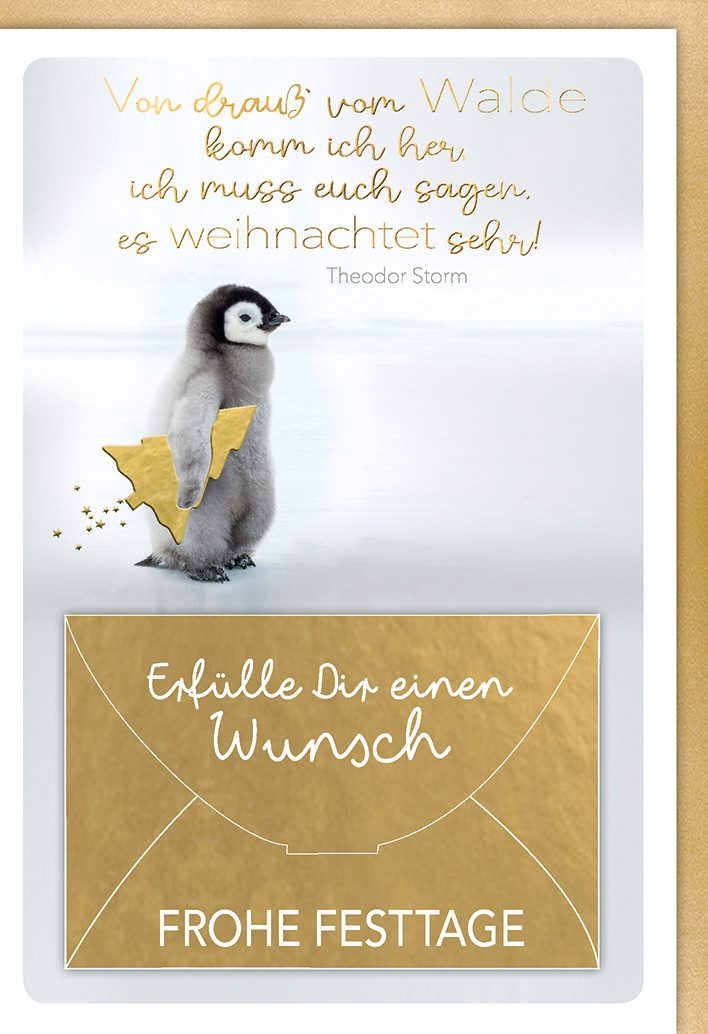 Verlag Dominique Поздравительные открытки Weihnachten - Karte mit Umschlag - von drauß vom Walde mit Geldtasche