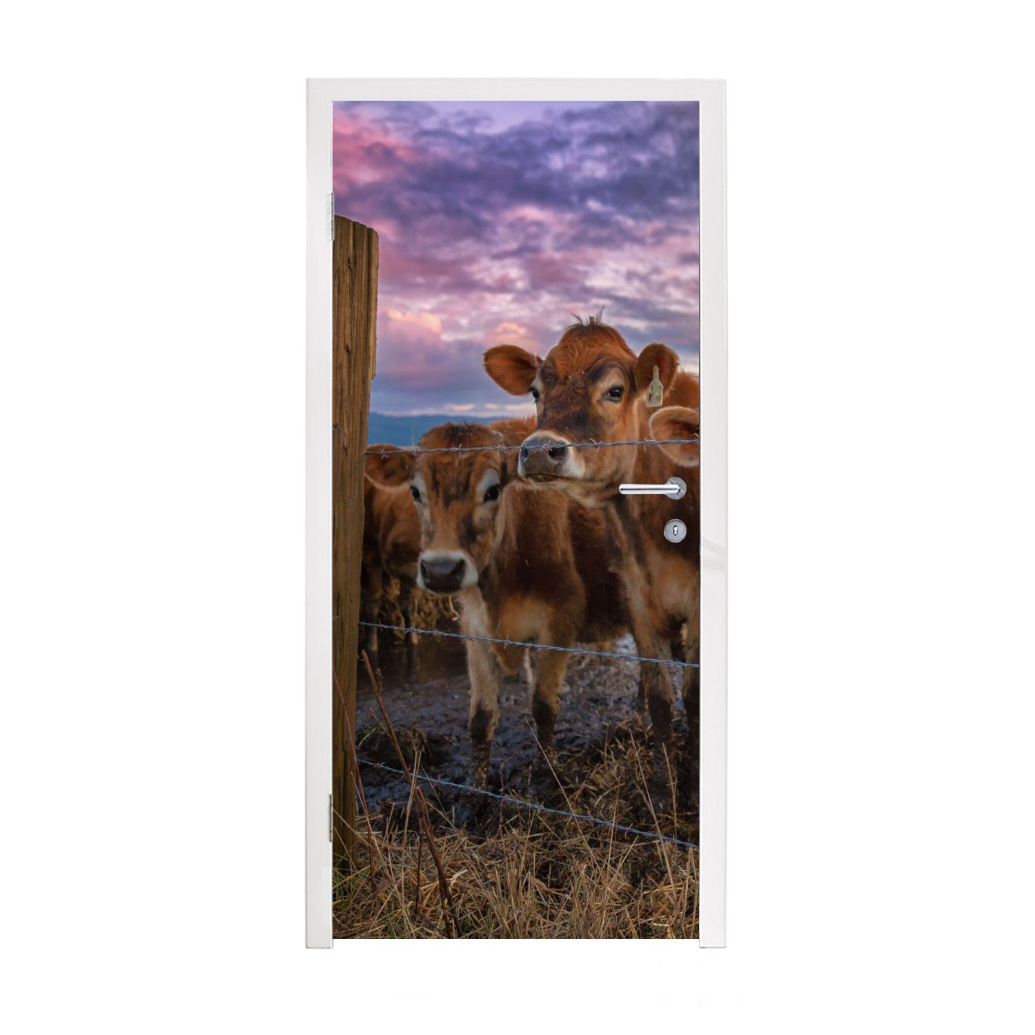 MuchoWow Türtapete Kuh - Tiere cm - Matt, Fototapete für bedruckt, (1 Tür, Kühe, 75x205 Türaufkleber, St)