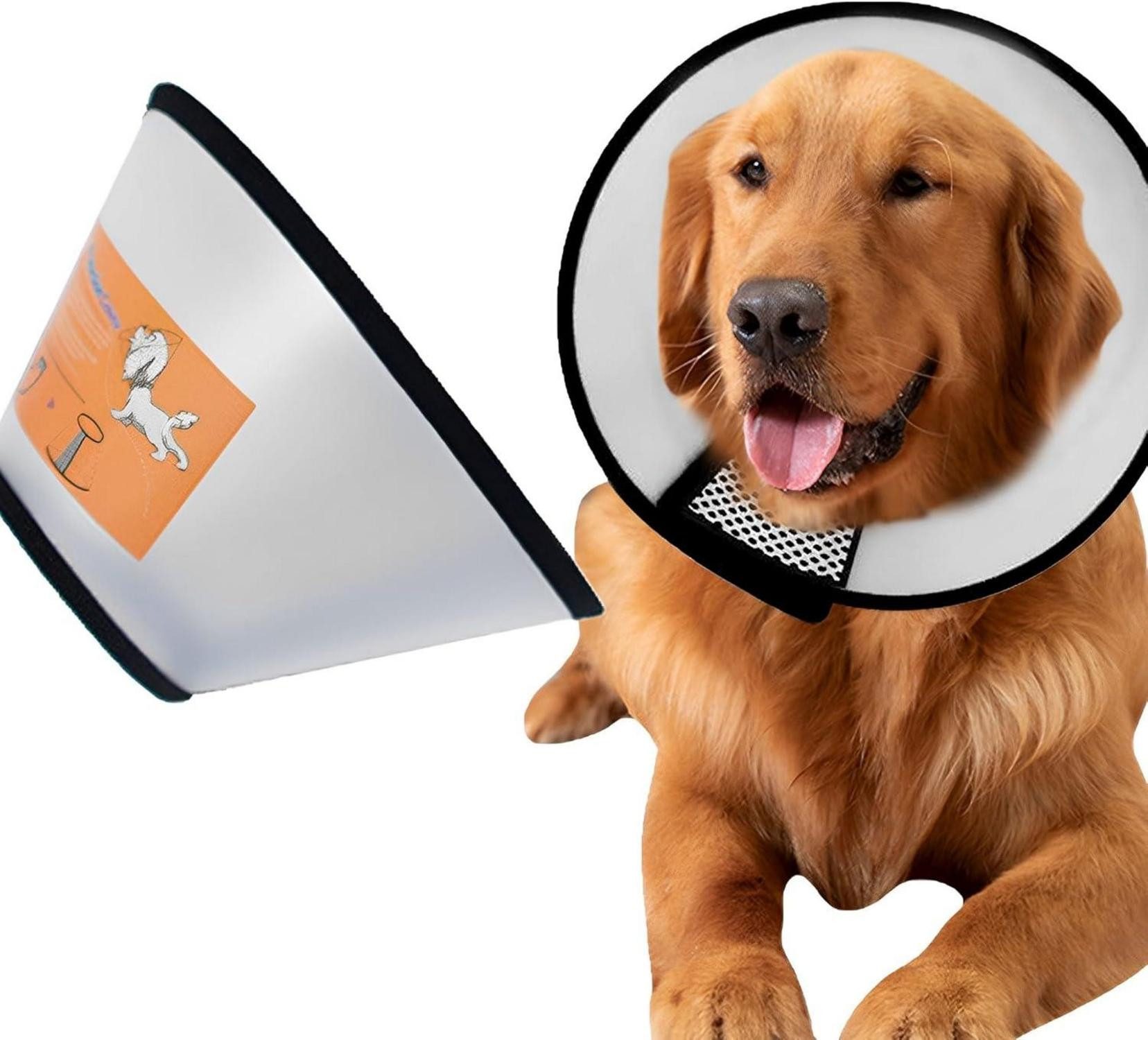 Schutzkragen Hundekegel Halsband Verstellbar Anti-Bite Großer Hund 31-37cm