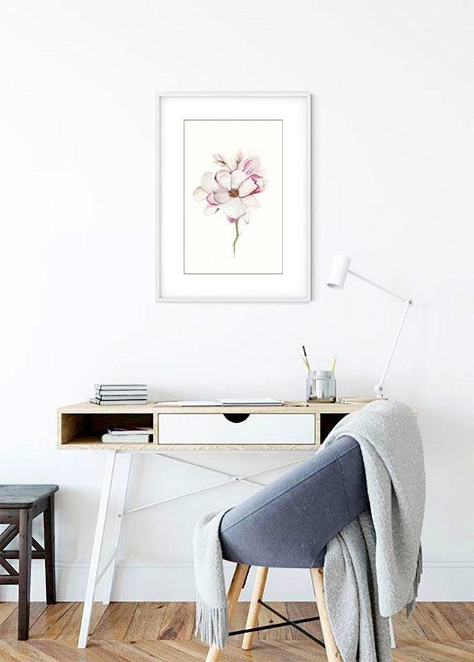 Komar Poster Magnolia Blossom, Blumen Kinderzimmer, St), Schlafzimmer, Wohnzimmer (1
