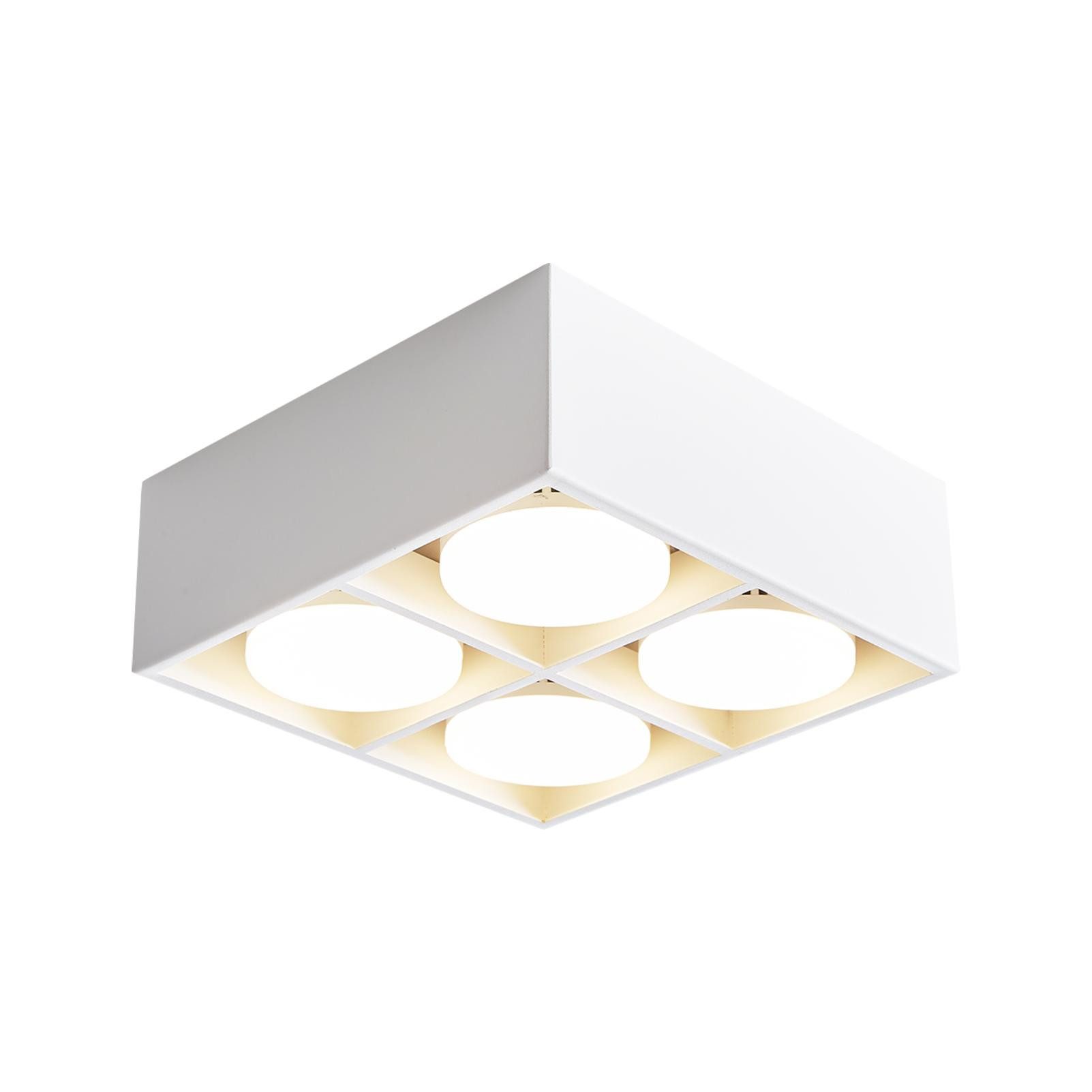Nettlife LED Aufbaustrahler Weiß Aufbau Aufputz Deckenspots 1/2/3/4 Flammig Deckenleuchte, Schwenkbar 120°, LED wechselbar, Warmweiß, für Küche Wohnzimmer Esszimmer Schlafzimmer Flur